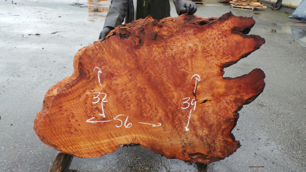 Redwood Burl Slabs | Unique Redwood Pieces | Redwood Burl Inc.