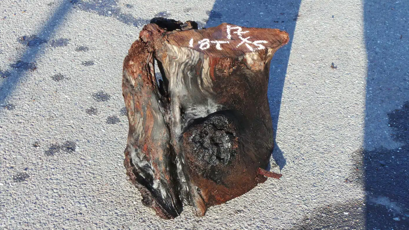 Live edge wood base