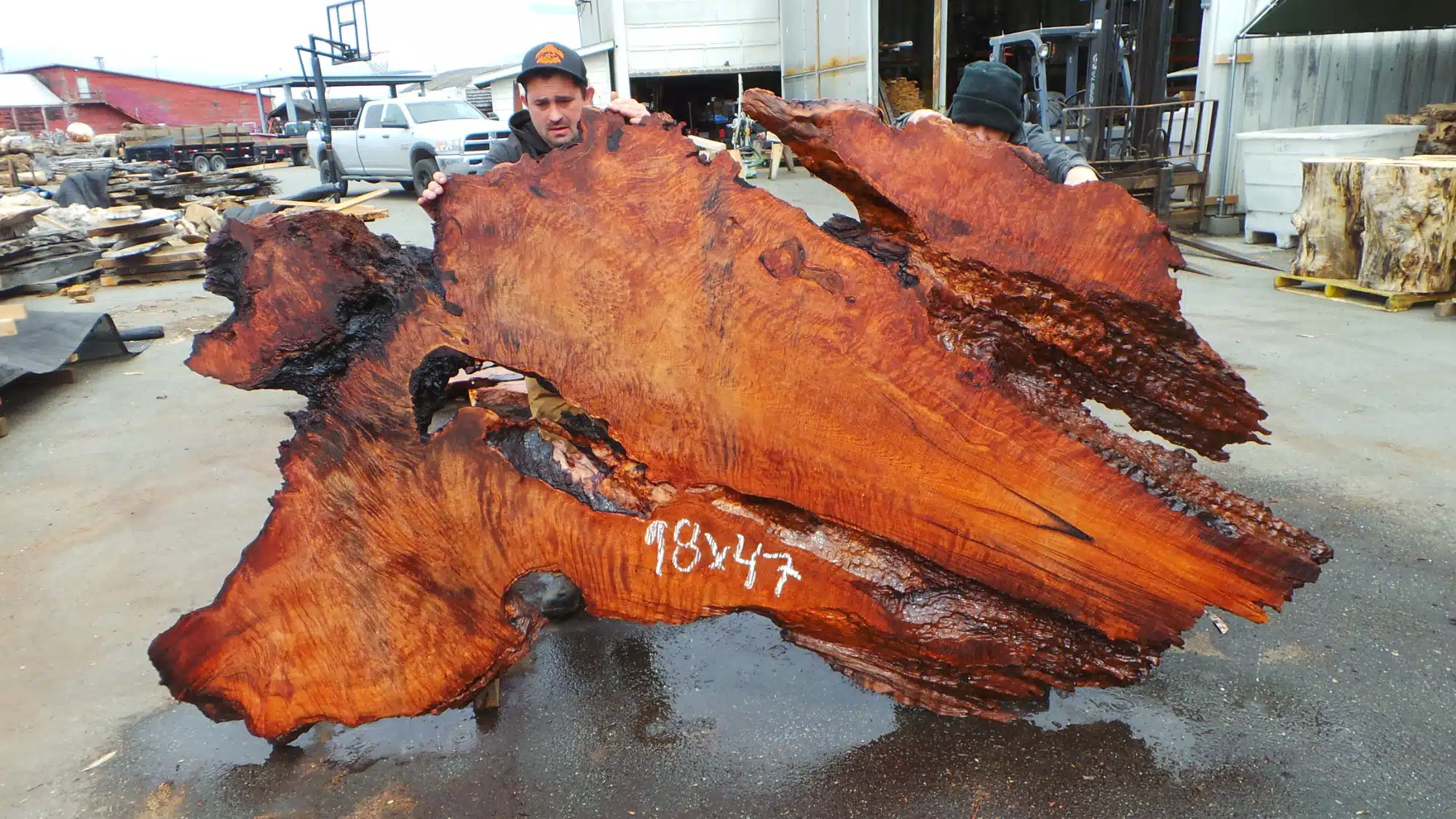 Burl Wood Furniture for Sale