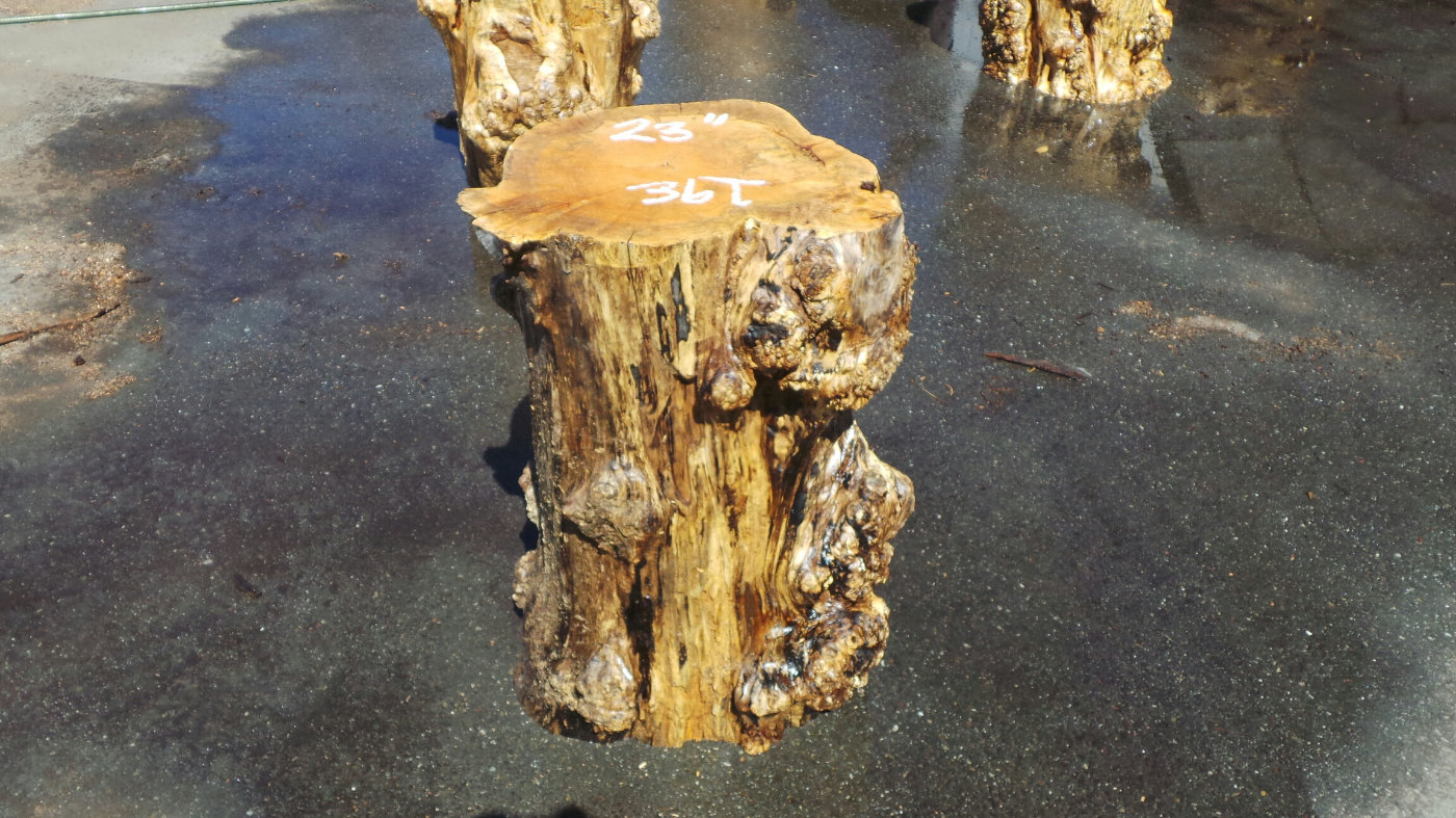 Burl Wood Pedestal Table Base for Glass Top