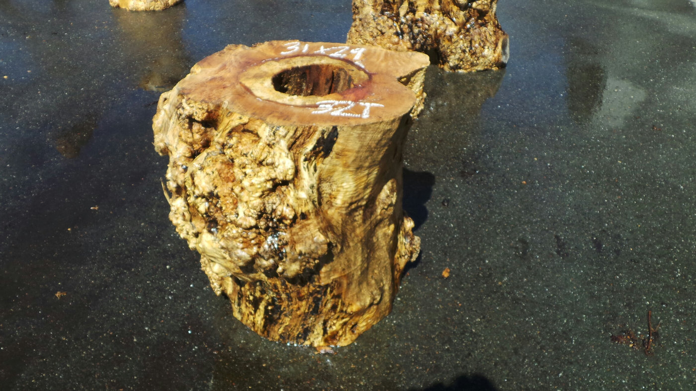 Maple Stump Table - Boost Natural Scene and Tables with Cedars Trunks