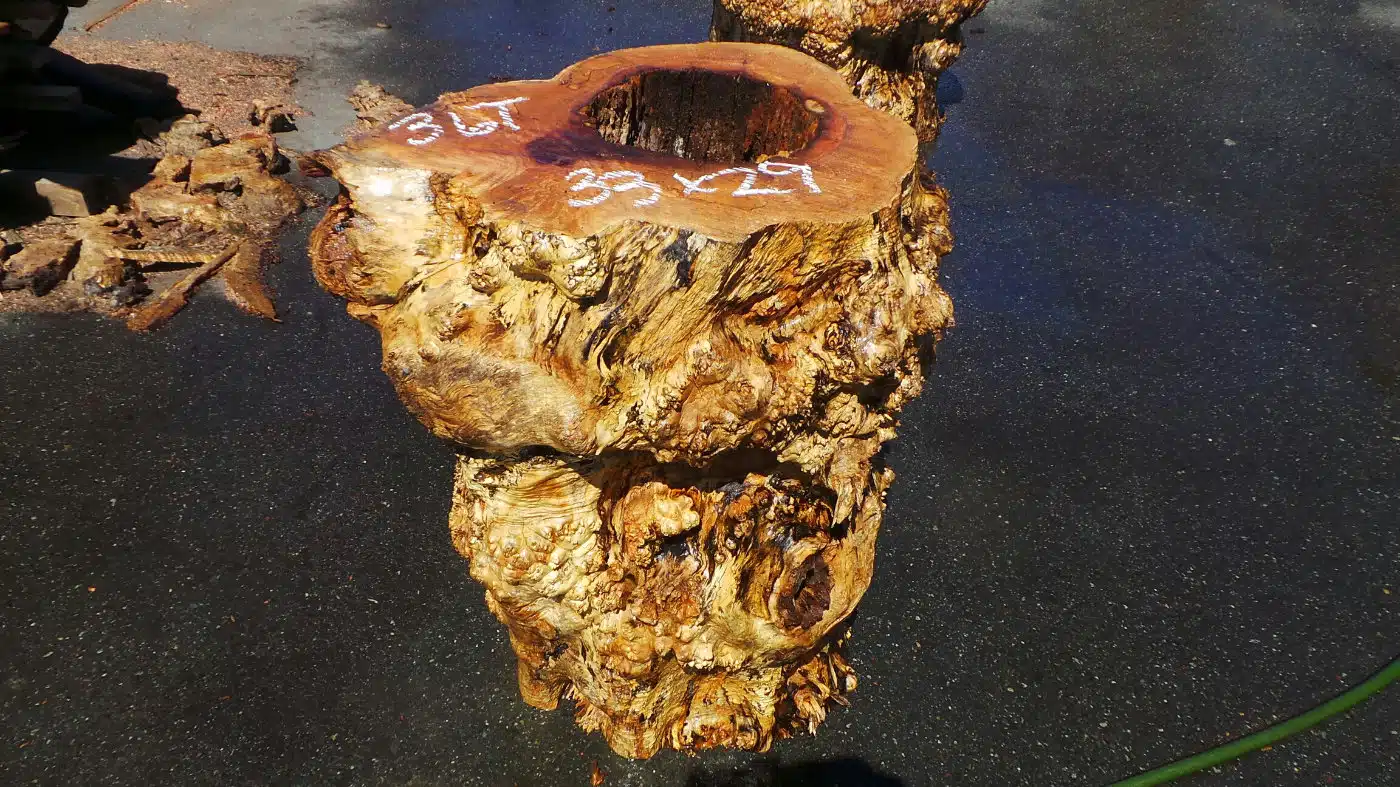 Live Edge Table Base - Contrast Redwood Burl Base