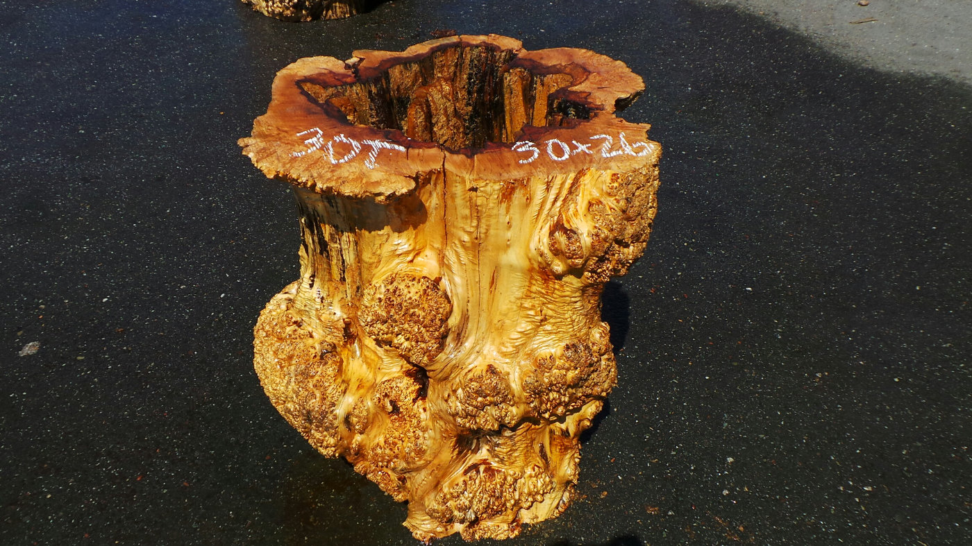 Real stump dining table base