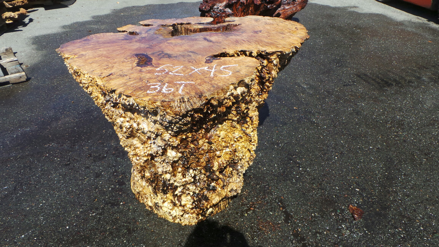 Redwood Tree Root Dining Table Bases
