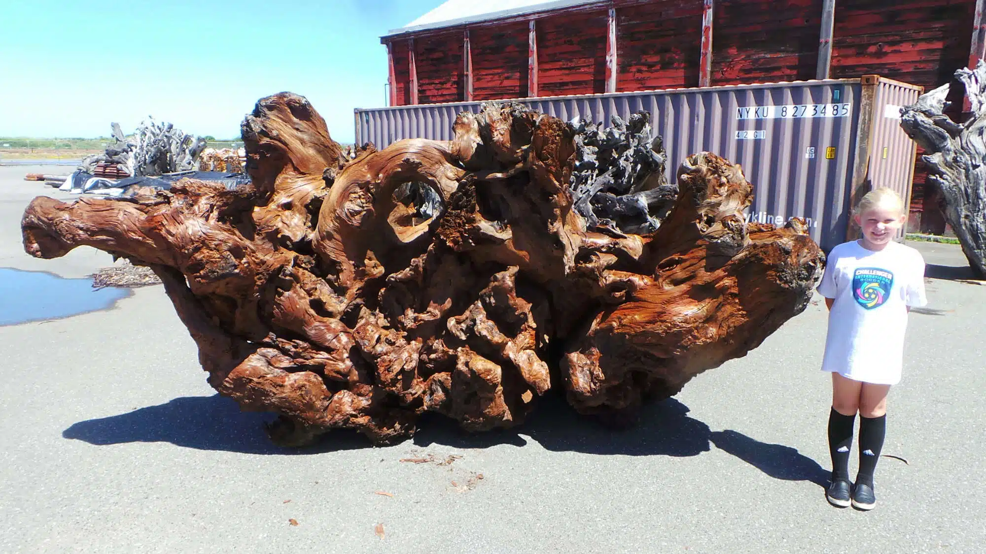 free from yard decor