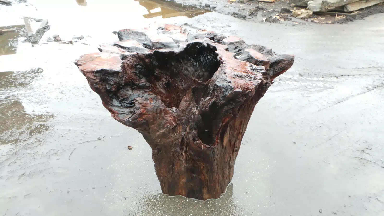 Rustic Branch Accent Wood Table
