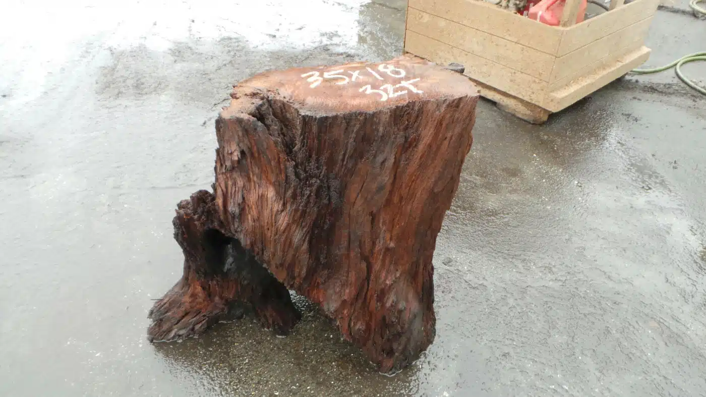 raw tree trunk table