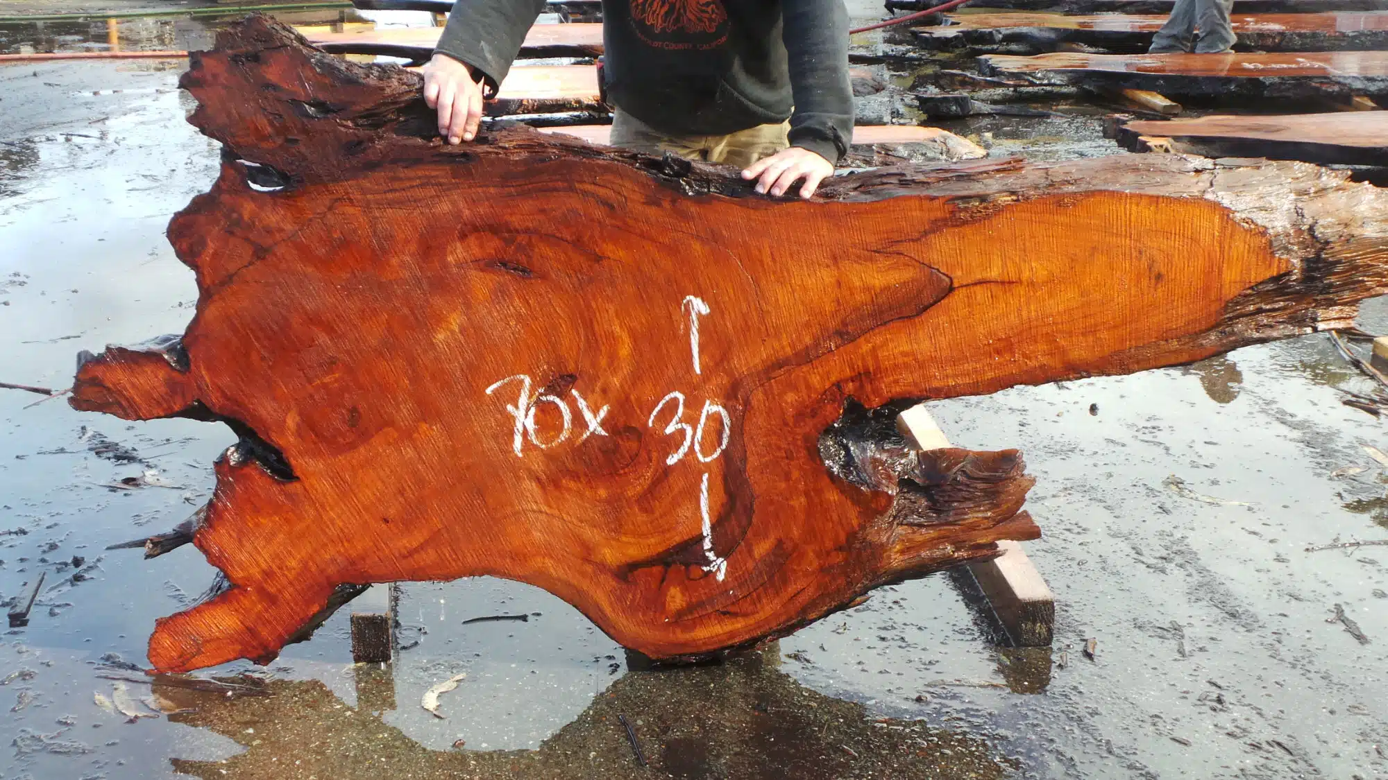 Wood Sculpture Wall Art Piece