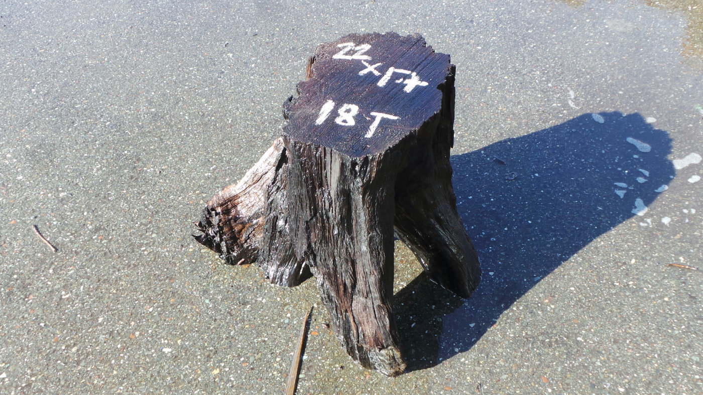 Redwood Plant Pedestal