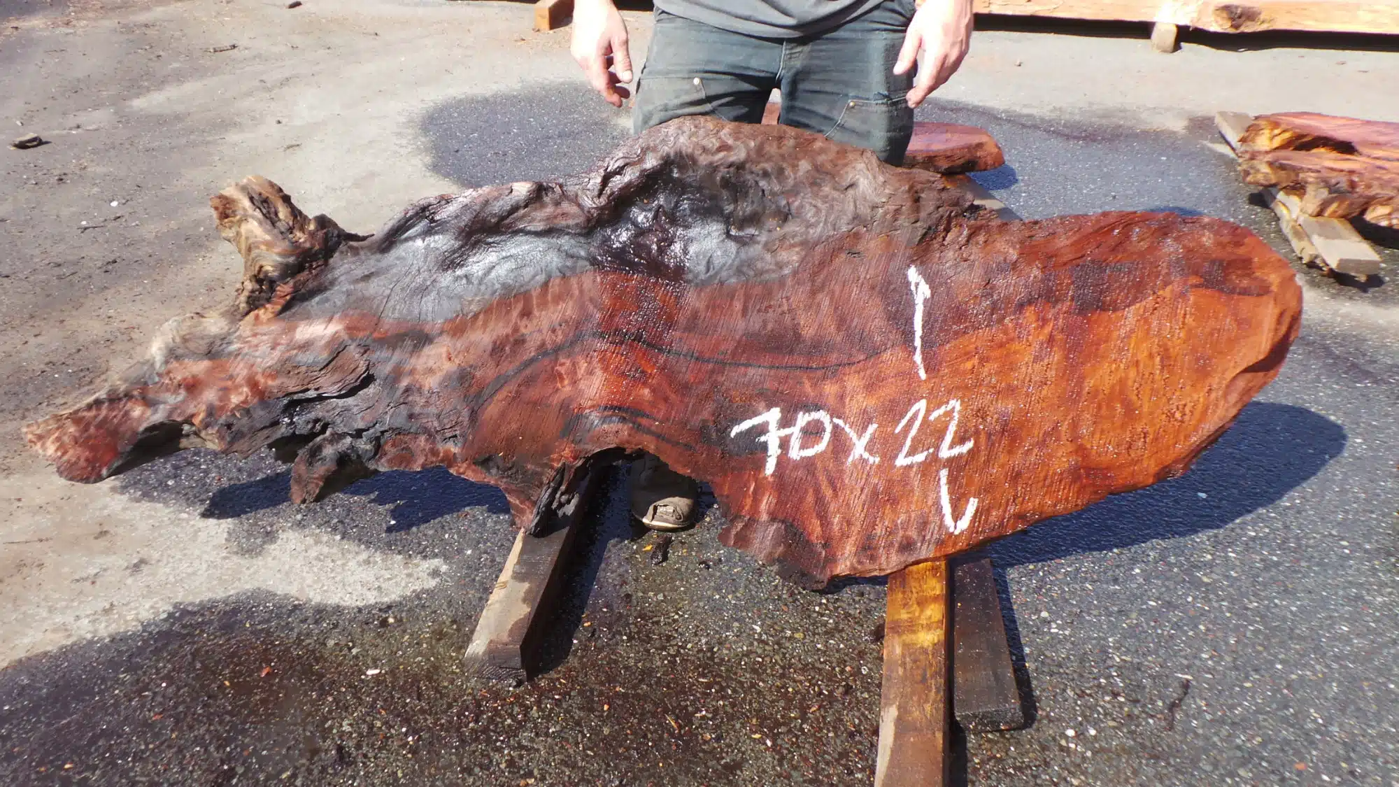 Burl Art