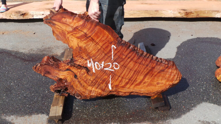 Redwood Burl Slabs 3 Redwood Burl Inc 3218