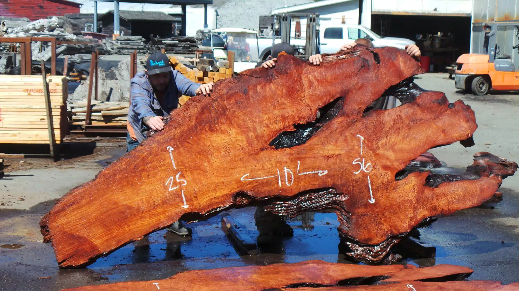 California Burl Wood Slab - Redwood Burl Slab for Headboard or Wall Art
