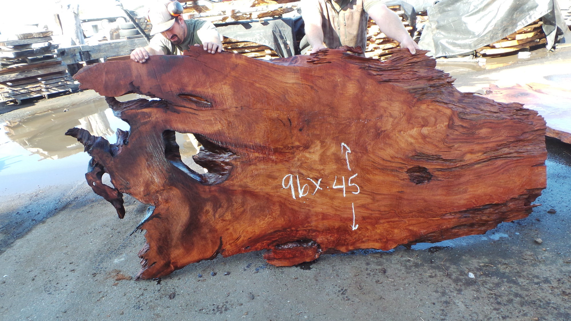 Raw Redwood Burl - Organic Edge Floating Art for Rustic Wall Decor