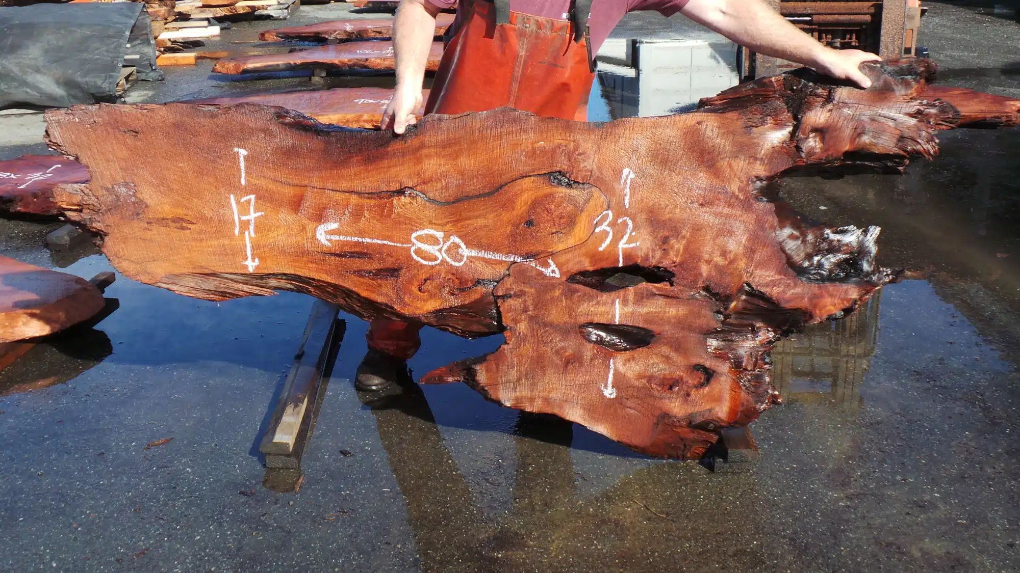 Redwood Headboard Slabs - Unique Burl Wood Grainy Head Boards