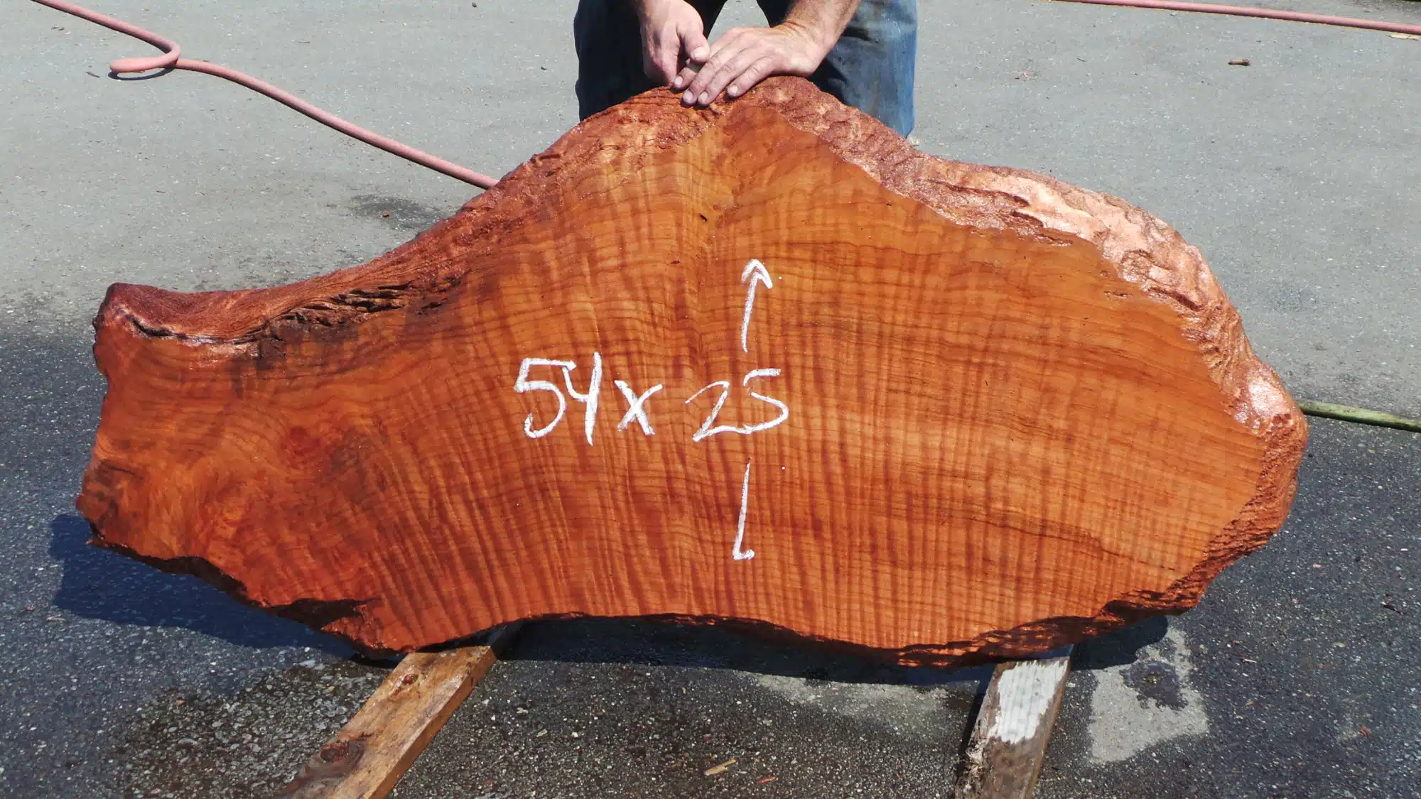 Redwood Burl Slab - Burl Redwood Coffee Table