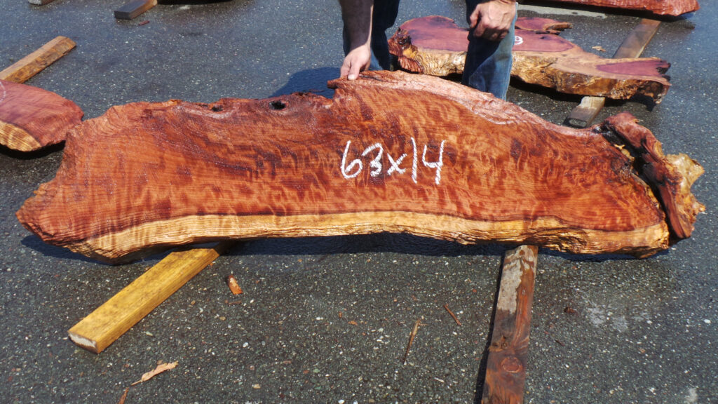 Redwood Burl Slabs 2 Redwood Burl Inc 3861