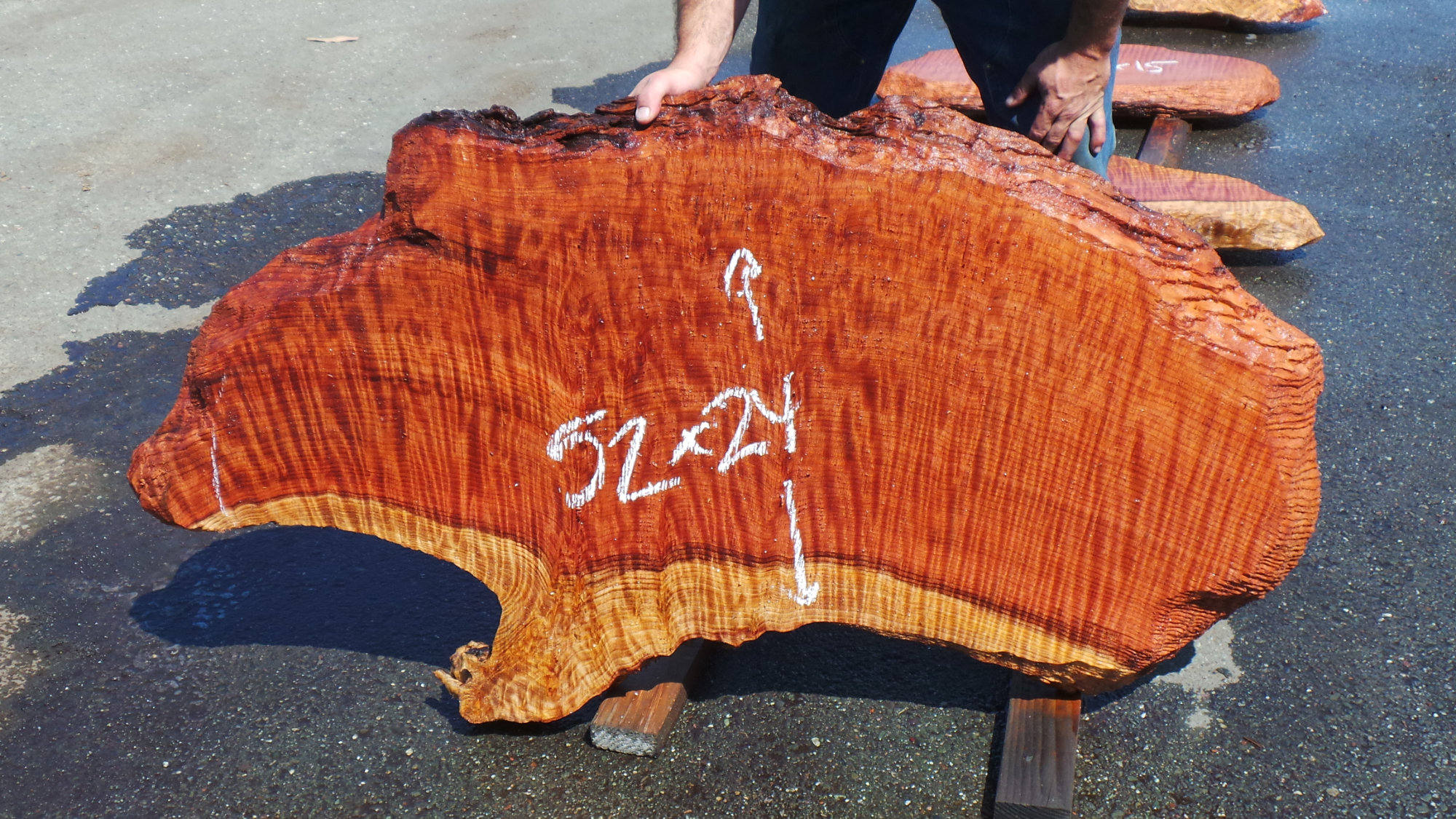 Redwood Live Edge Burl Slabs - Unique Wood