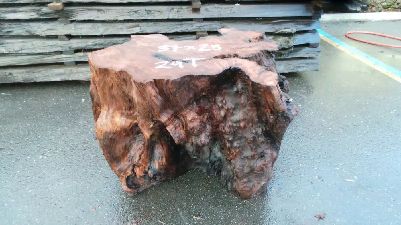 B-319