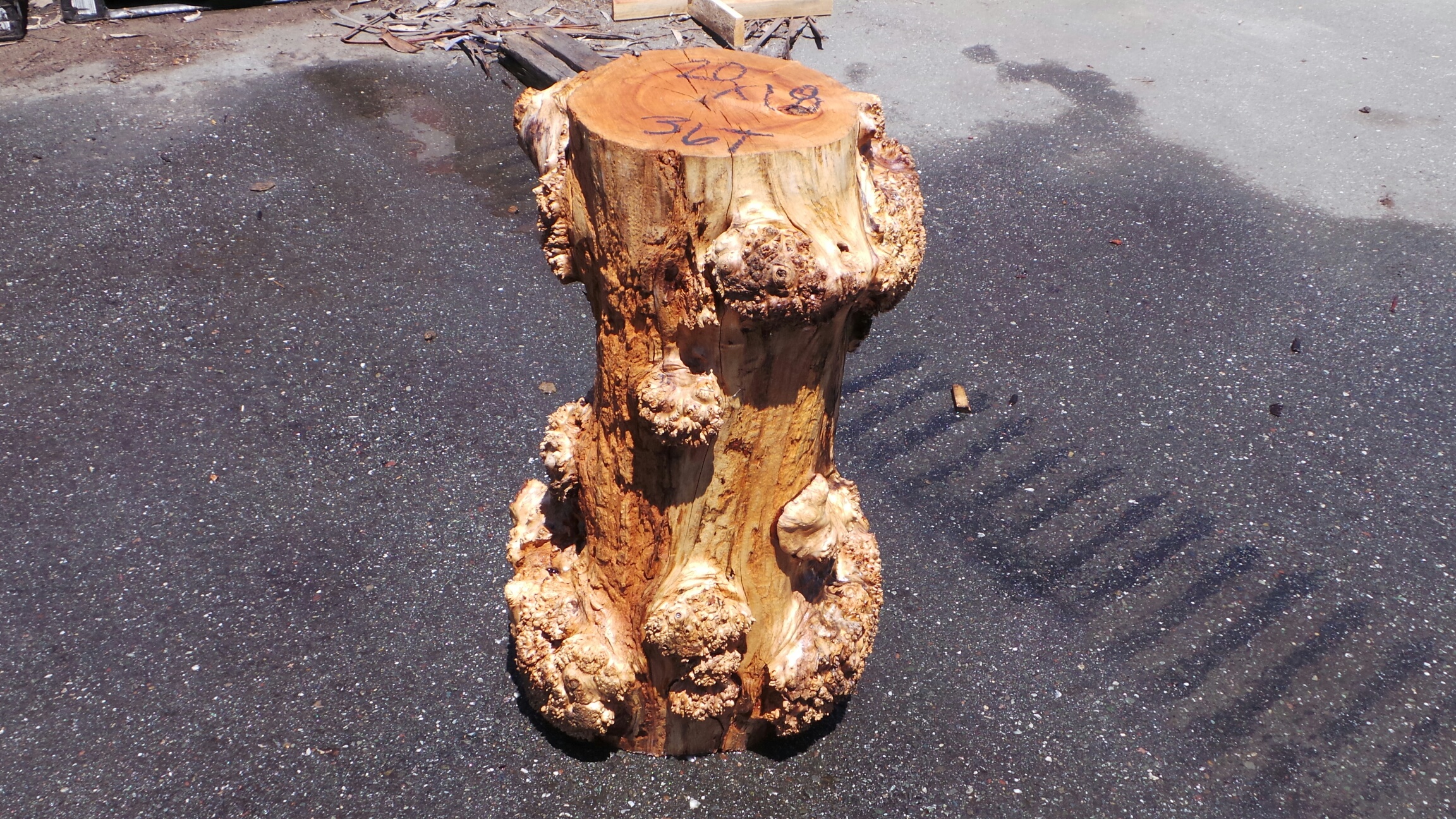 Raw Textured Burl Wood Plant Stand