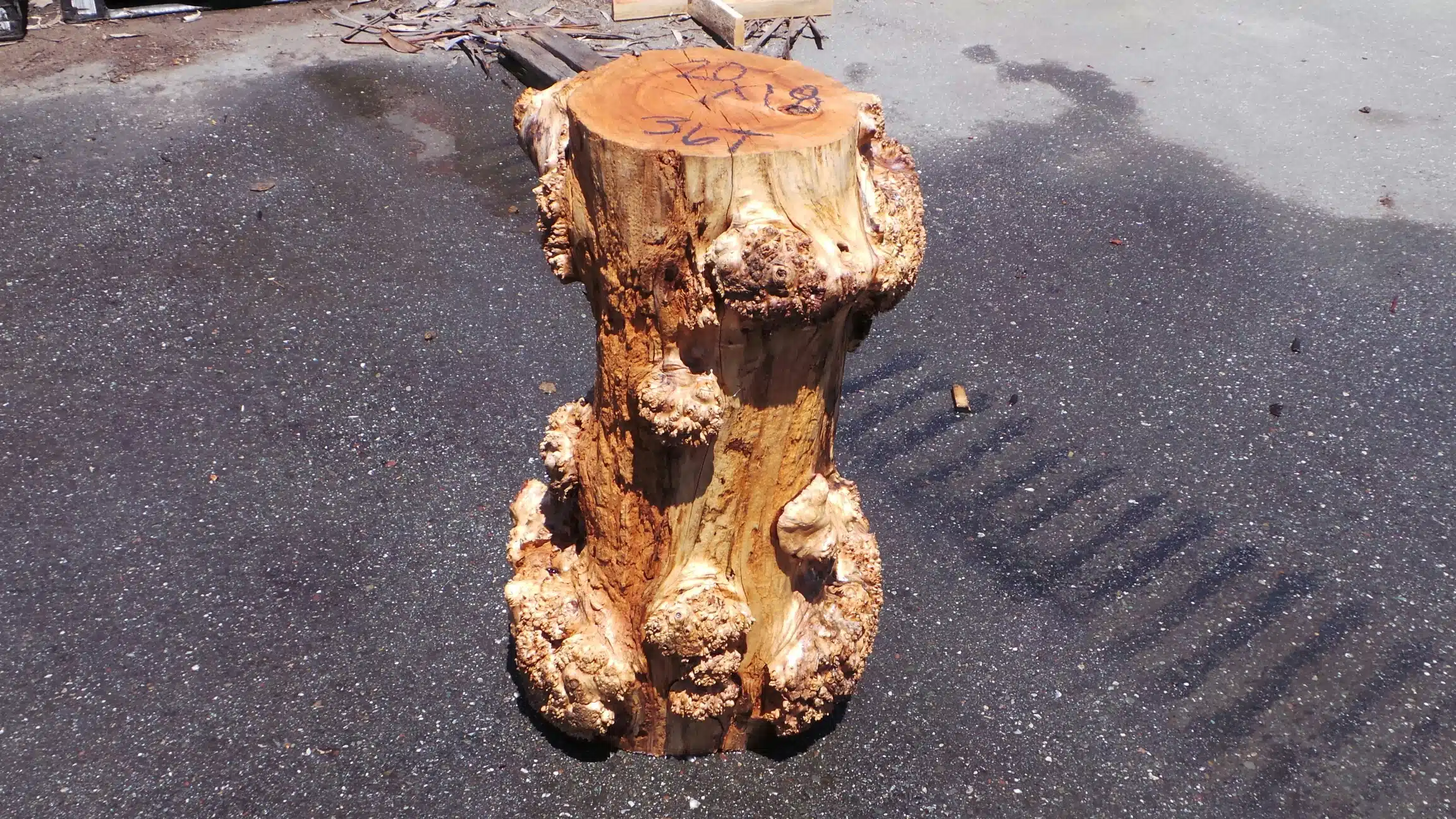 Raw Textured Burl Wood Plant Stand
