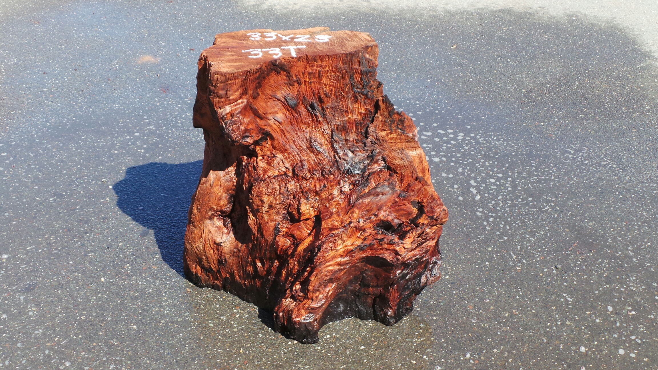 Redwood Tree-Stump Side Table
