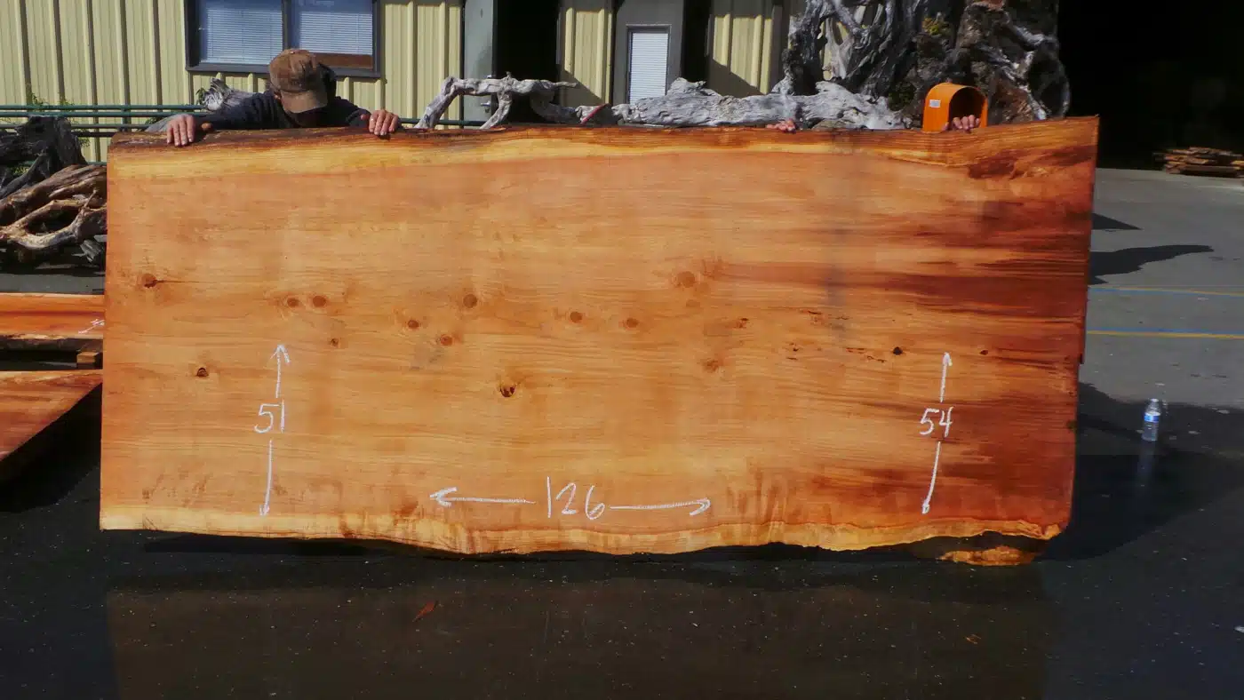 Sapwood Dining Table Slab