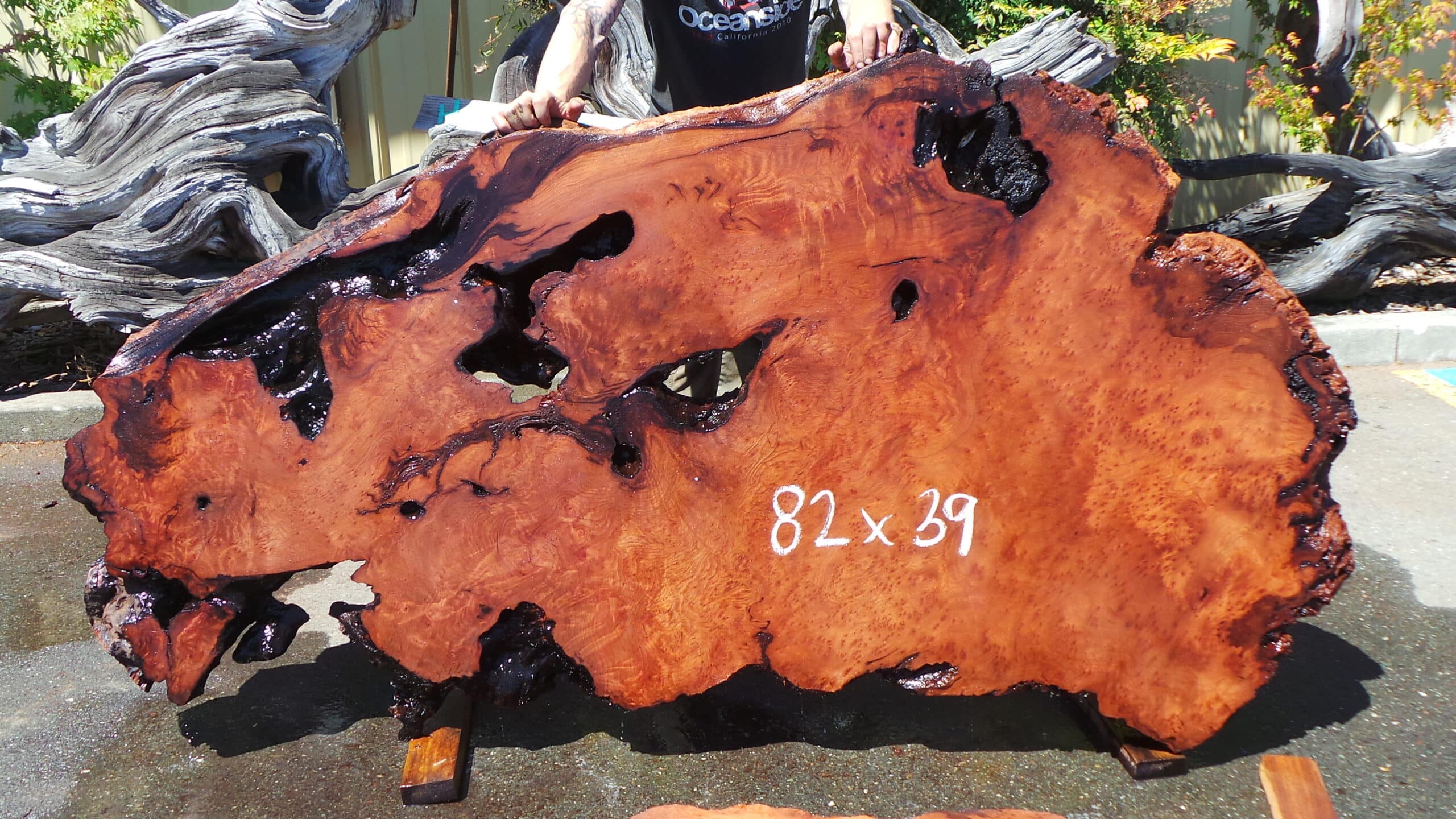 Redwood Burl Live Edge Slab