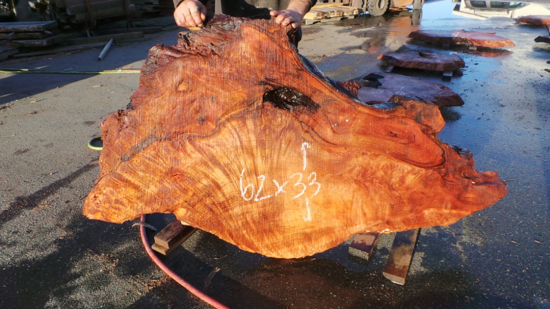 Redwood Burl slab measuring 62 inches by 33 inches and 3 inches thick.