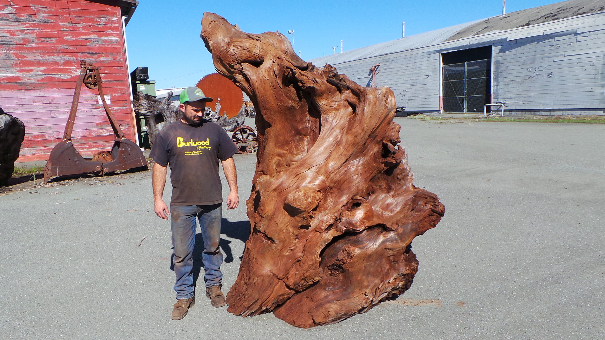 Redwood Burl Landscape Piece