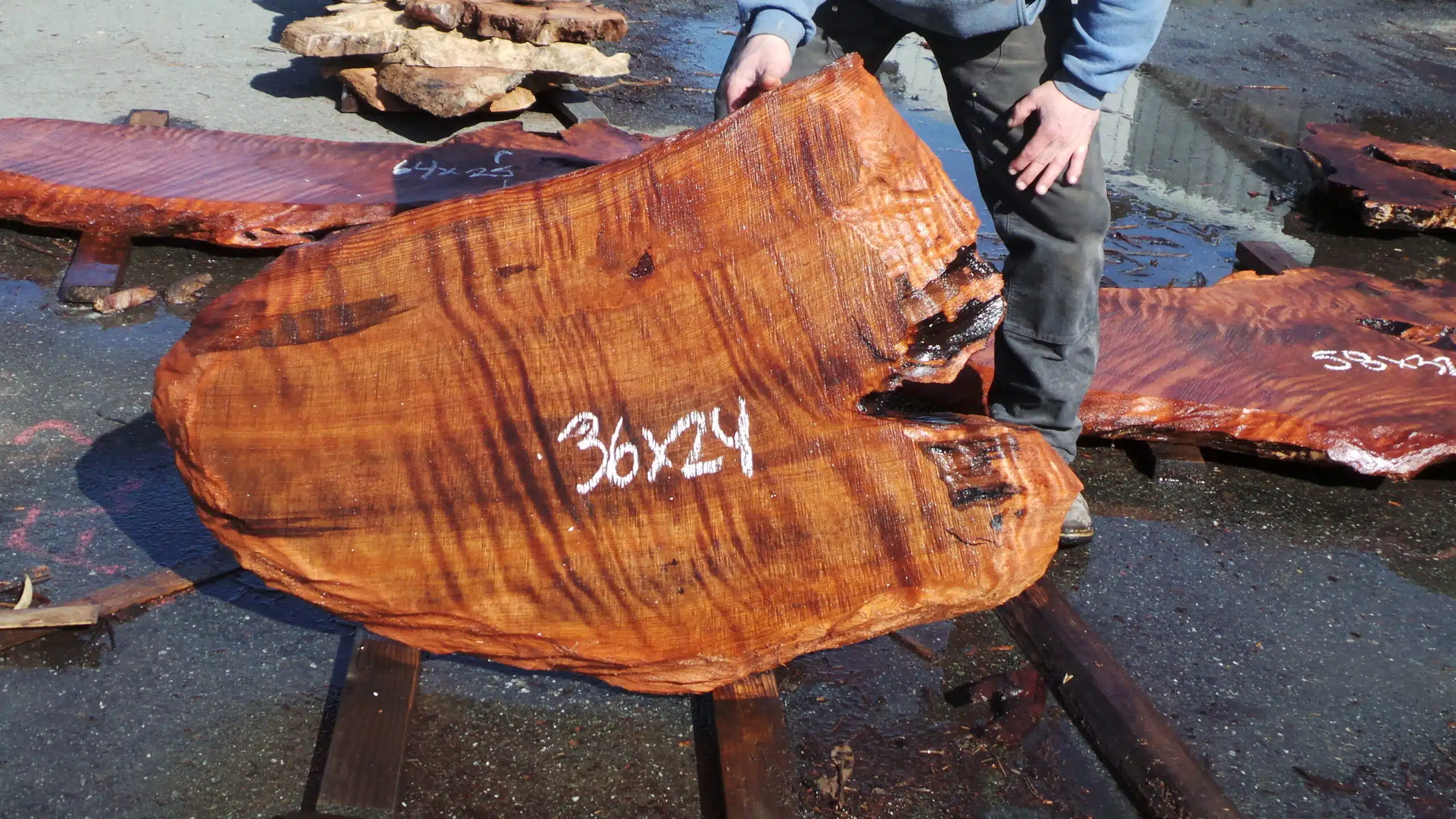 Redwood Burl Slab