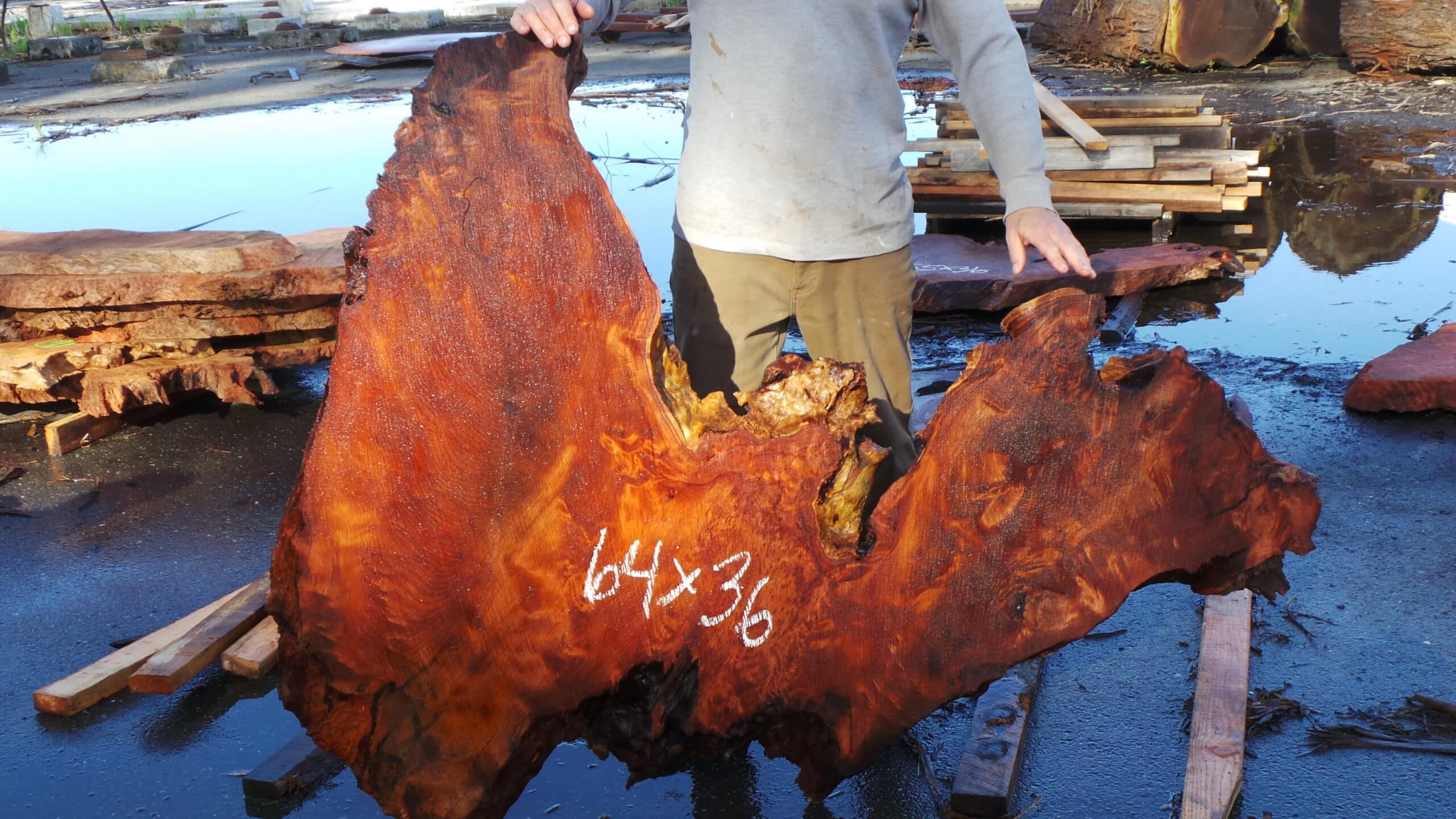 Redwood Burl Live Edge Slab