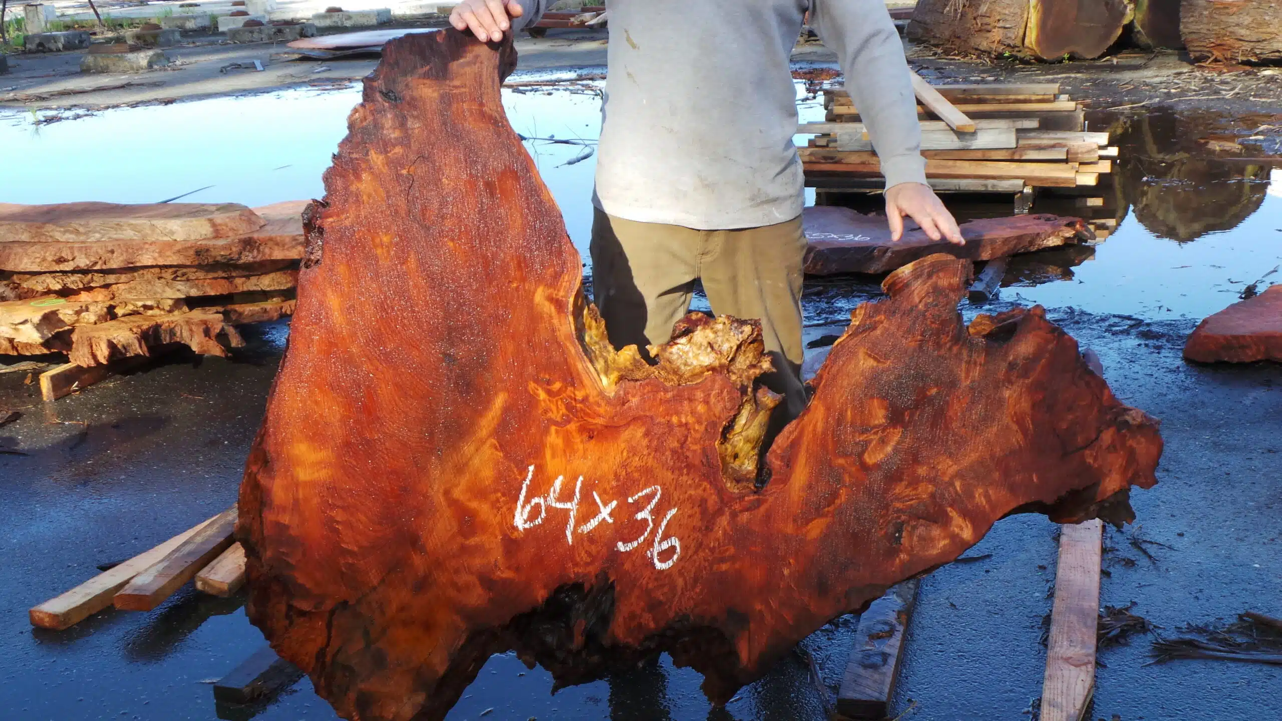 Redwood Burl Live Edge Slab