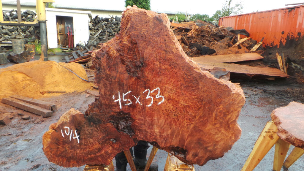 Redwood Burl Slabs - Unique Redwood Pieces - Redwood Burl Inc.