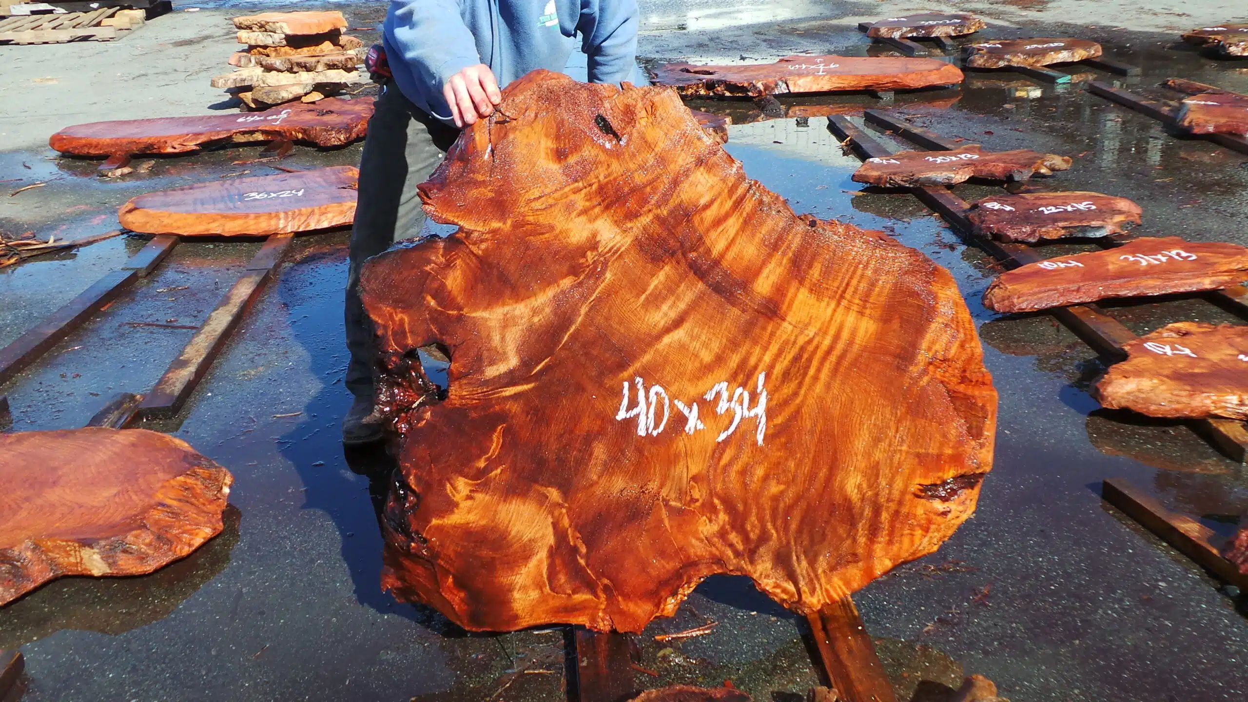 Redwood Burl Slab