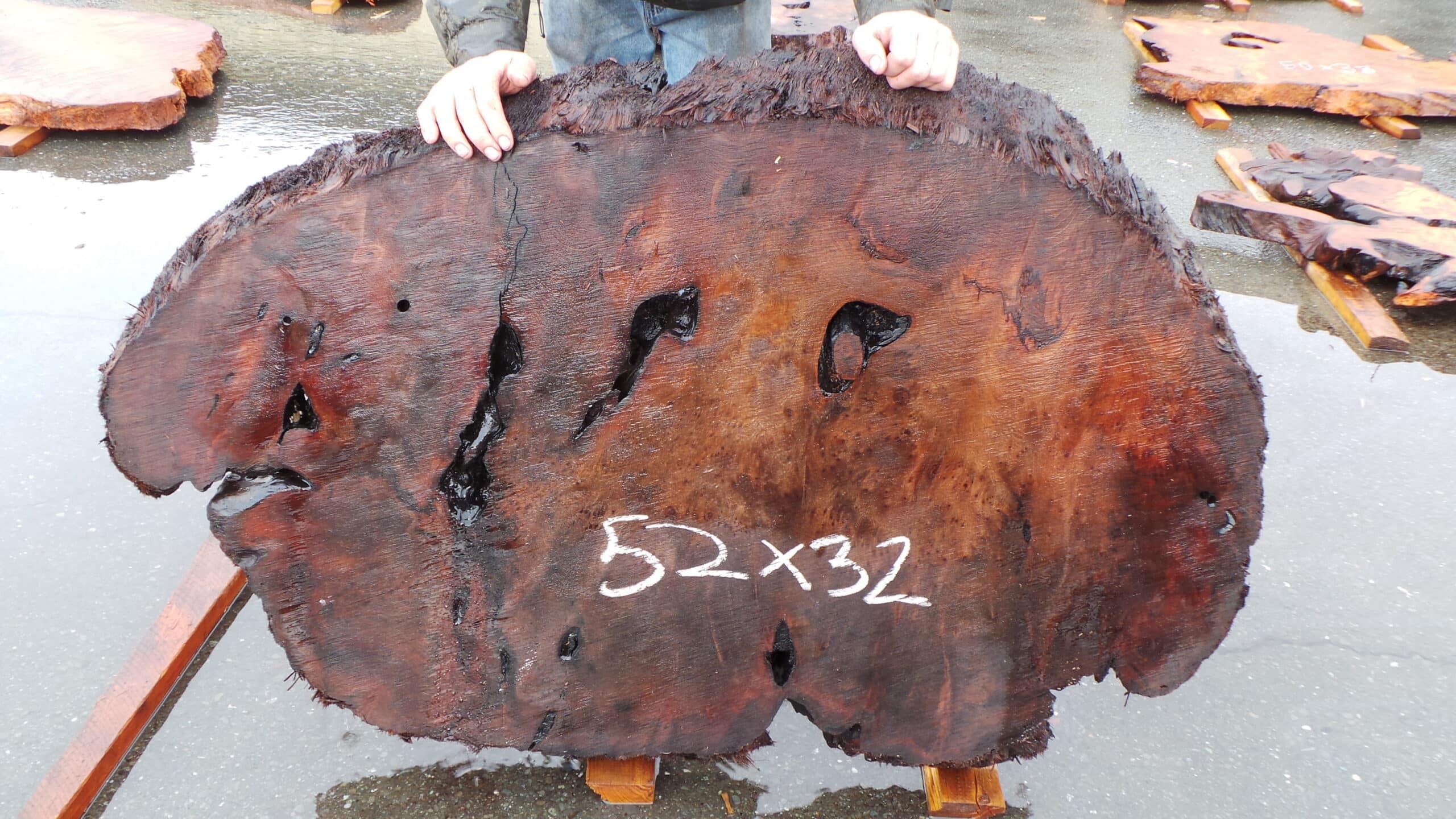 Redwood Burl Live Edge Slab