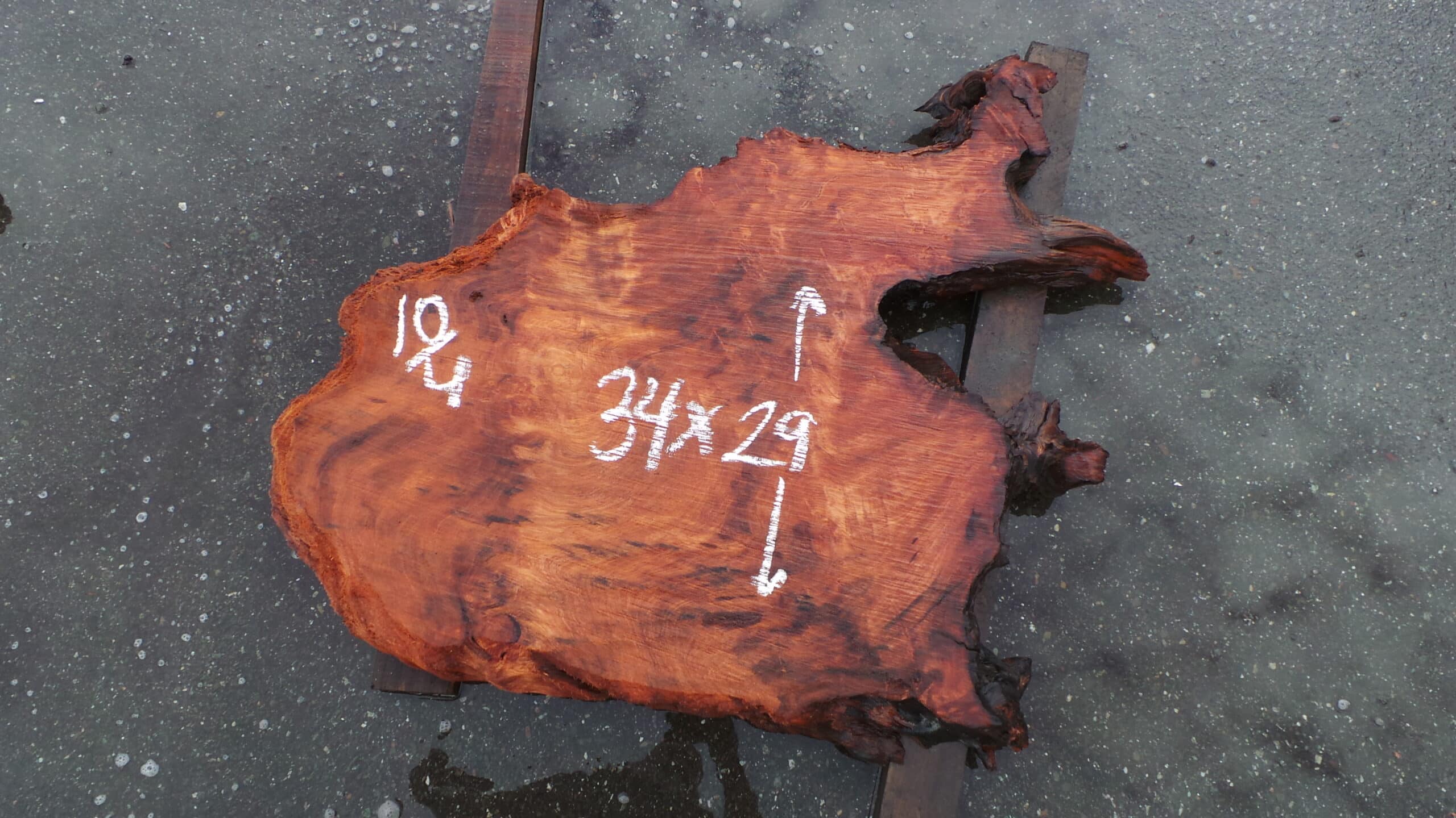 Redwood Burl Slab