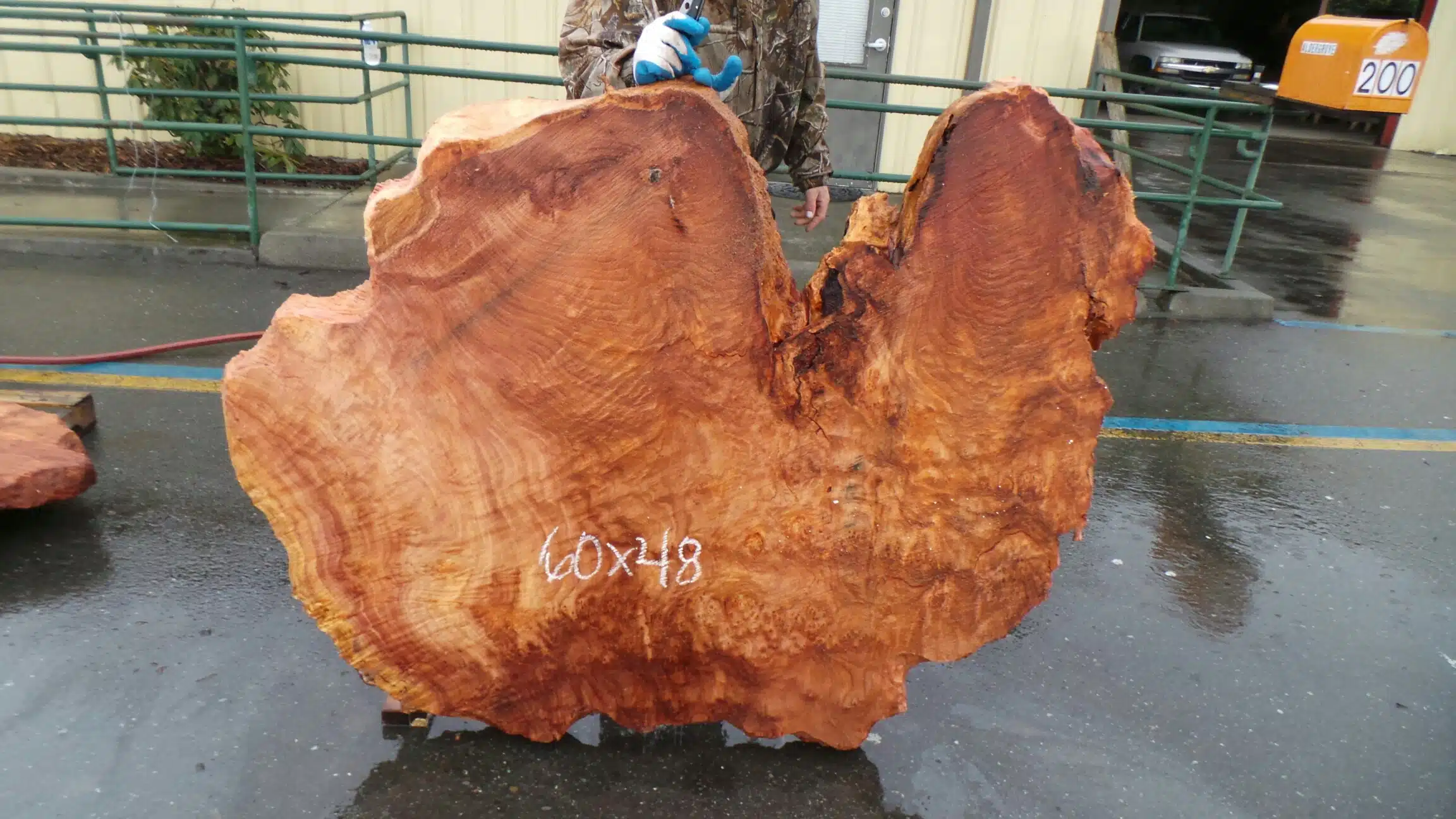 Burl Wood End Table Raw Slice Slab