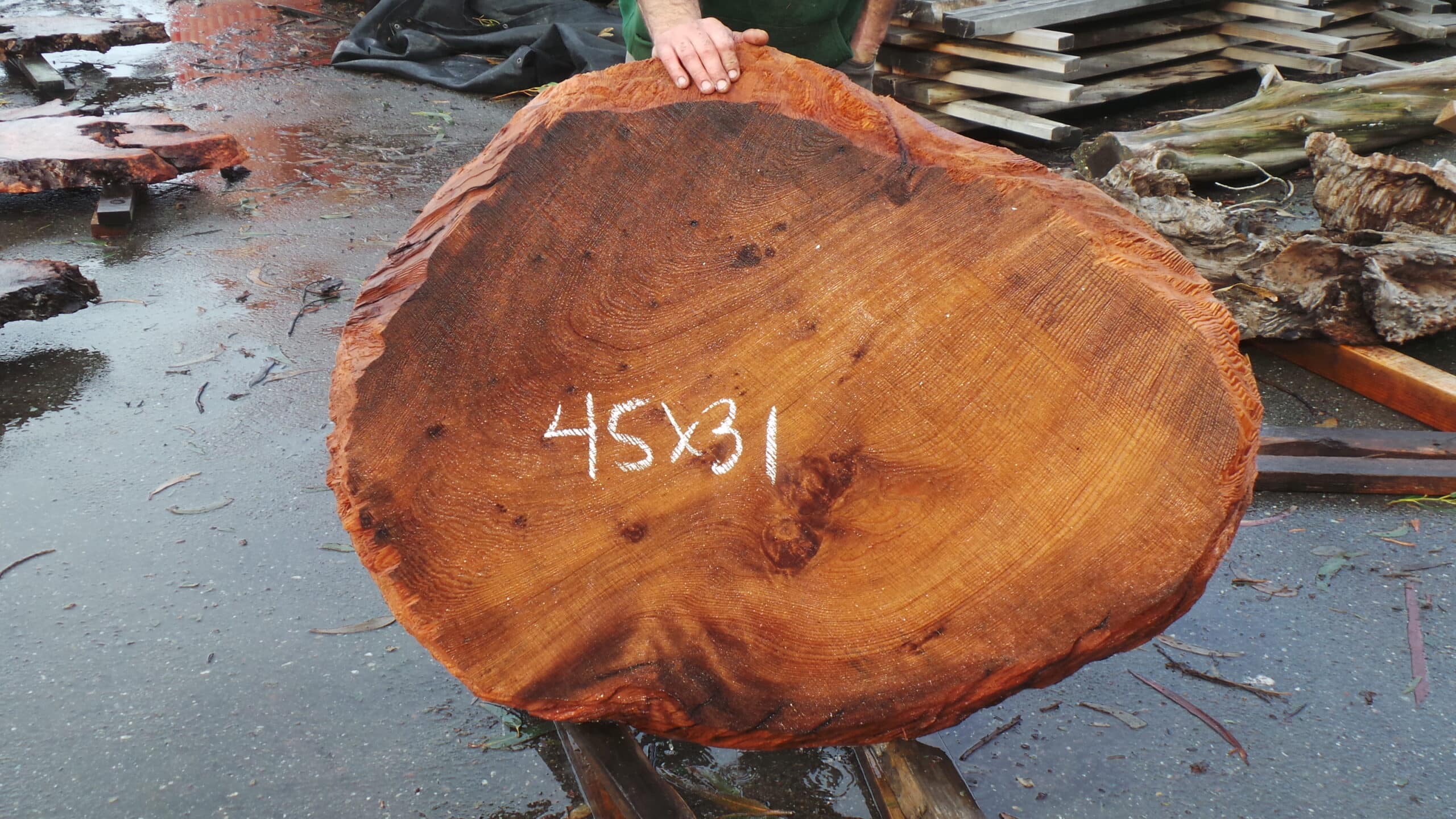 Redwood Burl Slab
