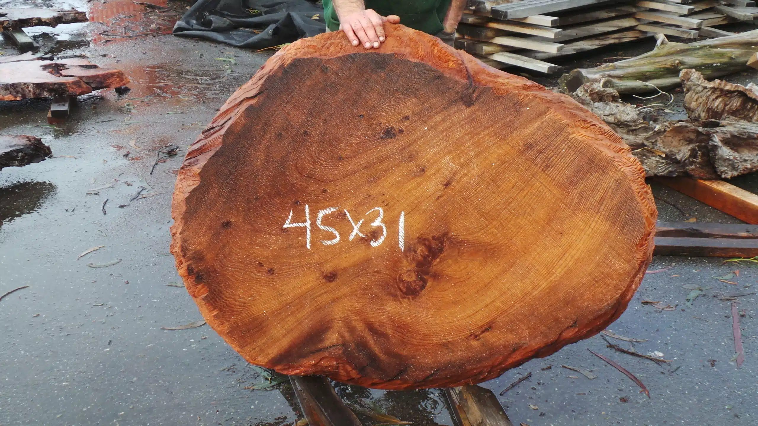 Redwood Burl Slab