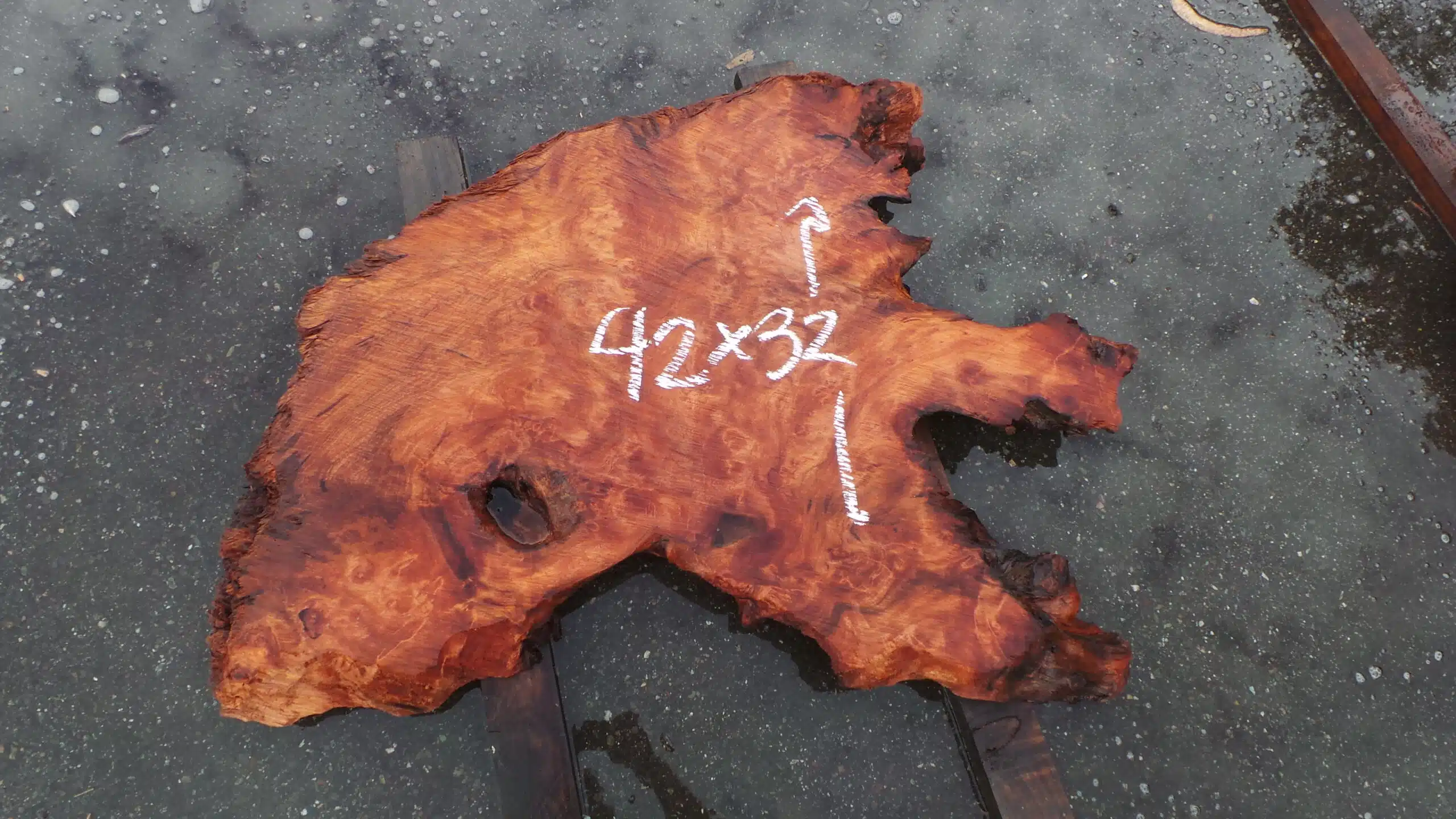 Redwood Burl Slab