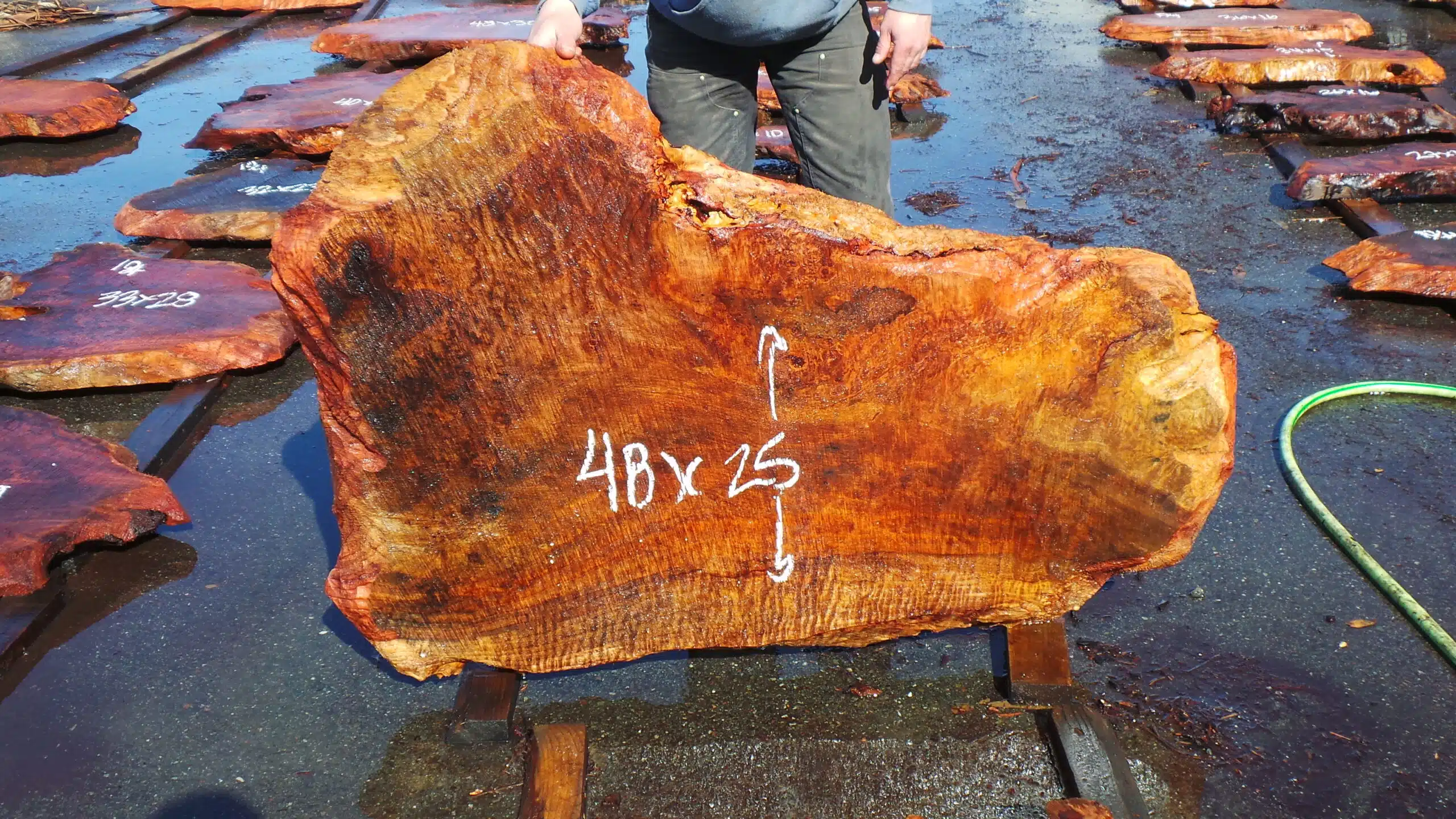 Redwood Burl Slab