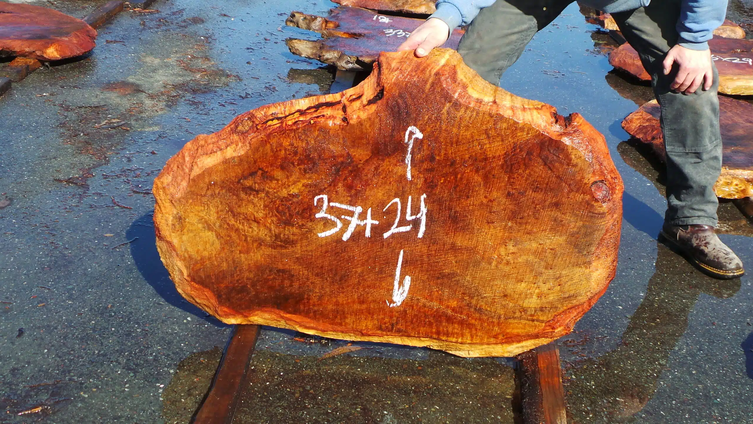 Redwood Burl Slab