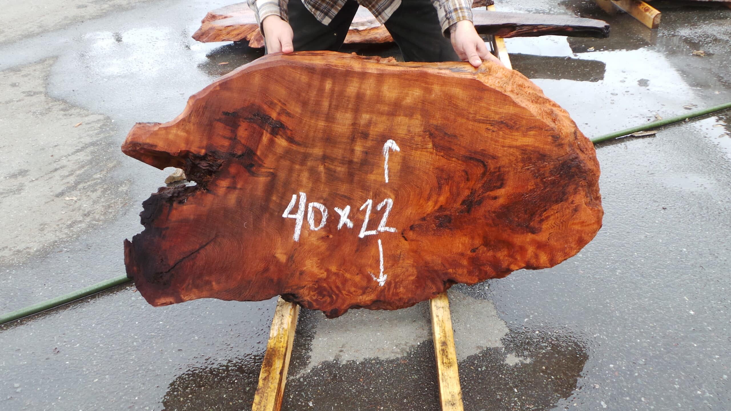 Redwood Burl Live Edge Slab