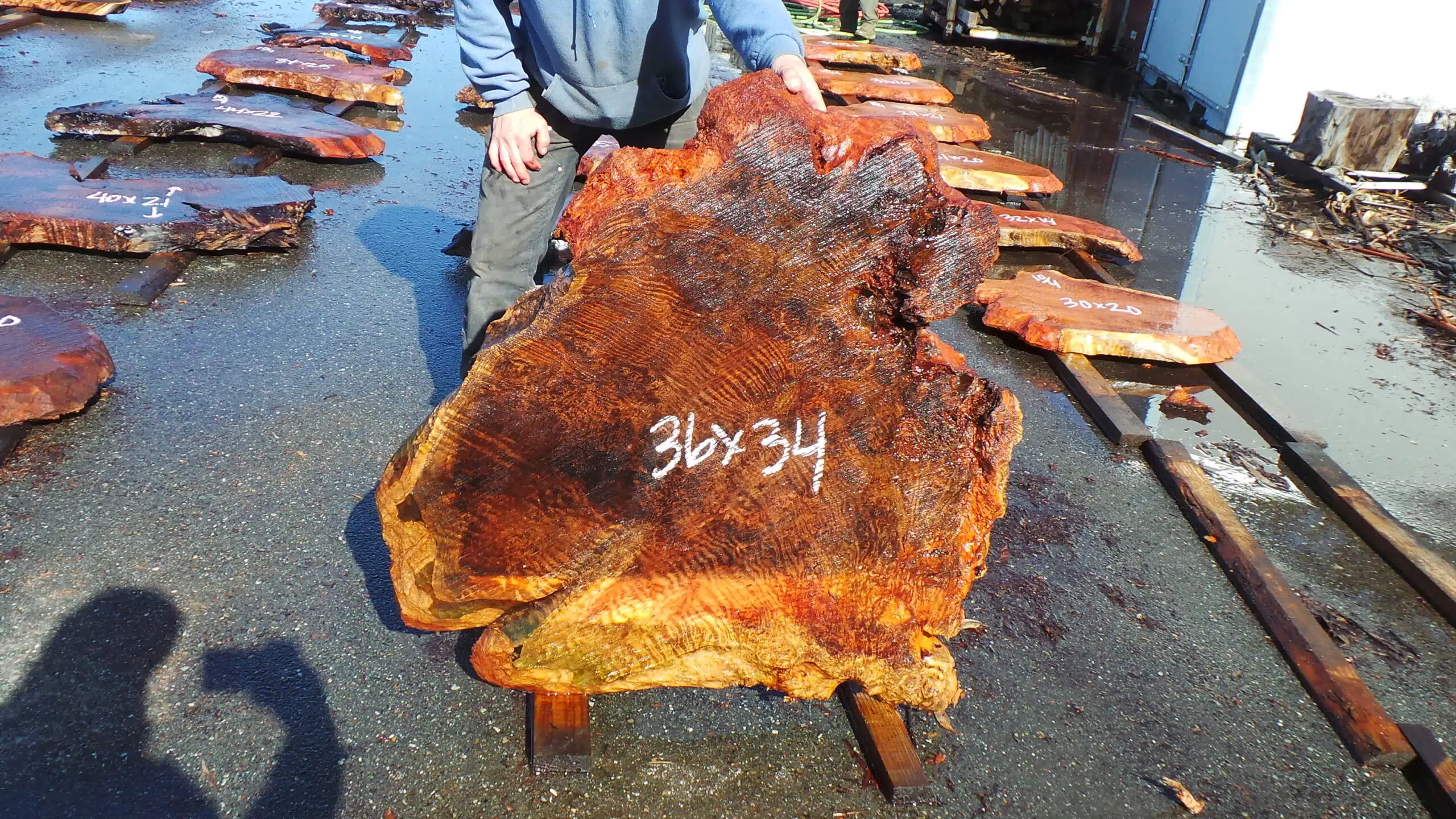 Redwood Burl Slab