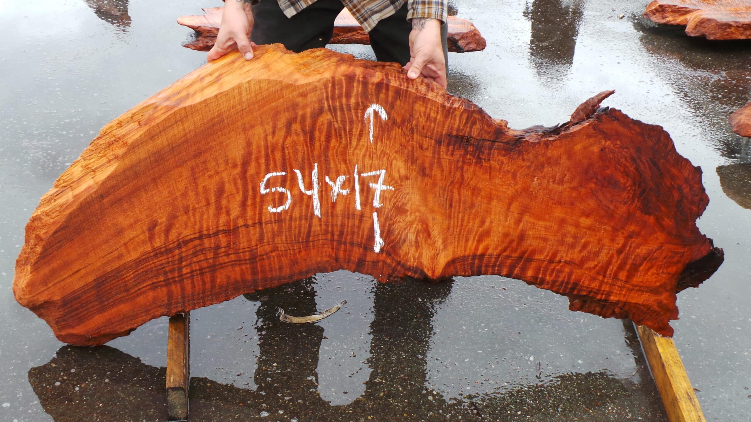 Redwood Burl Live Edge Slab