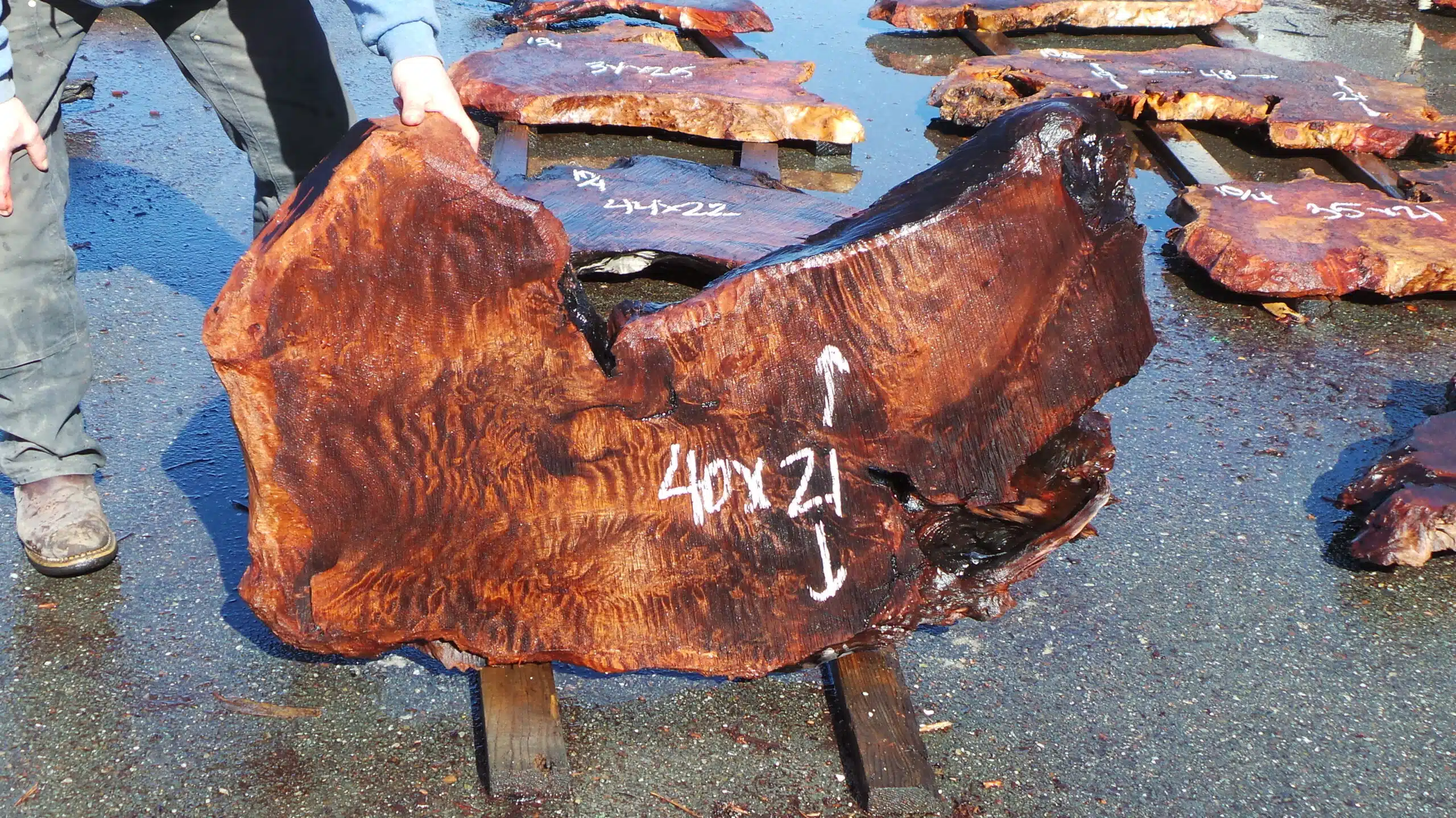 Redwood Burl Slab