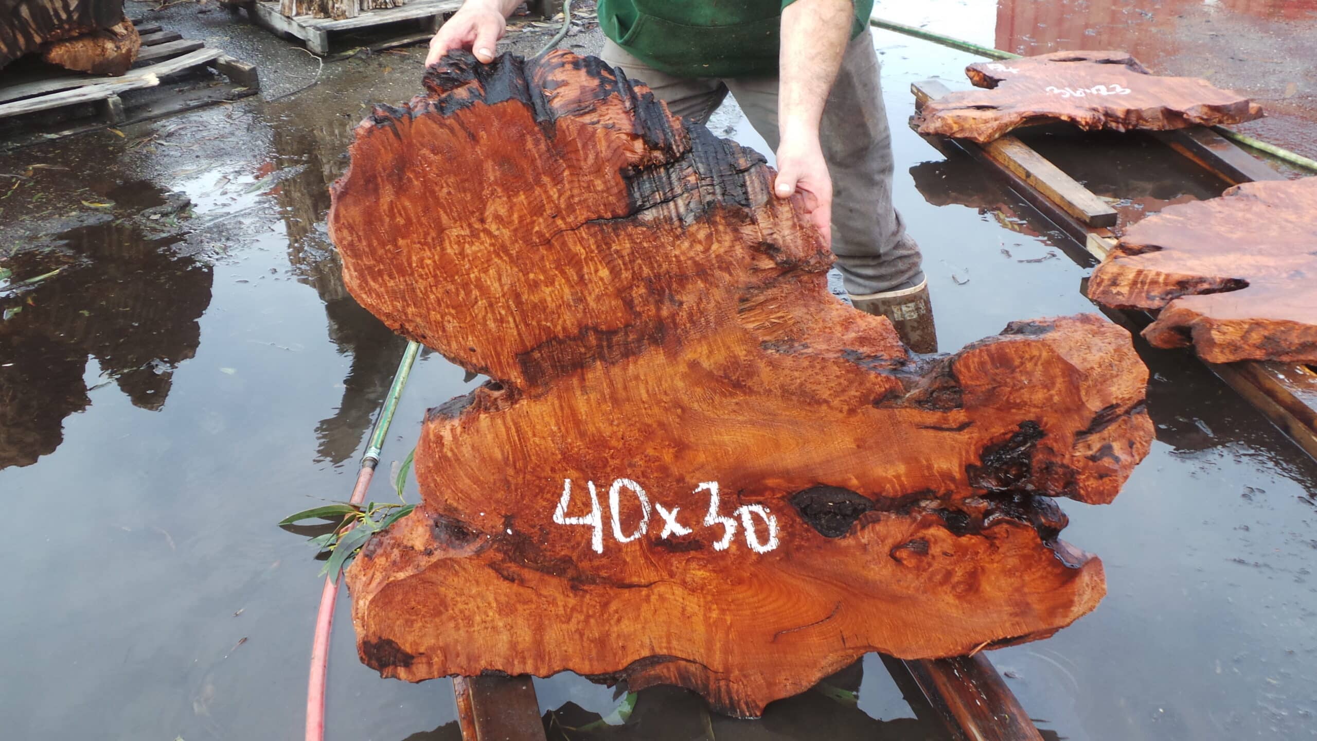 Redwood Burl Live Edge Slab