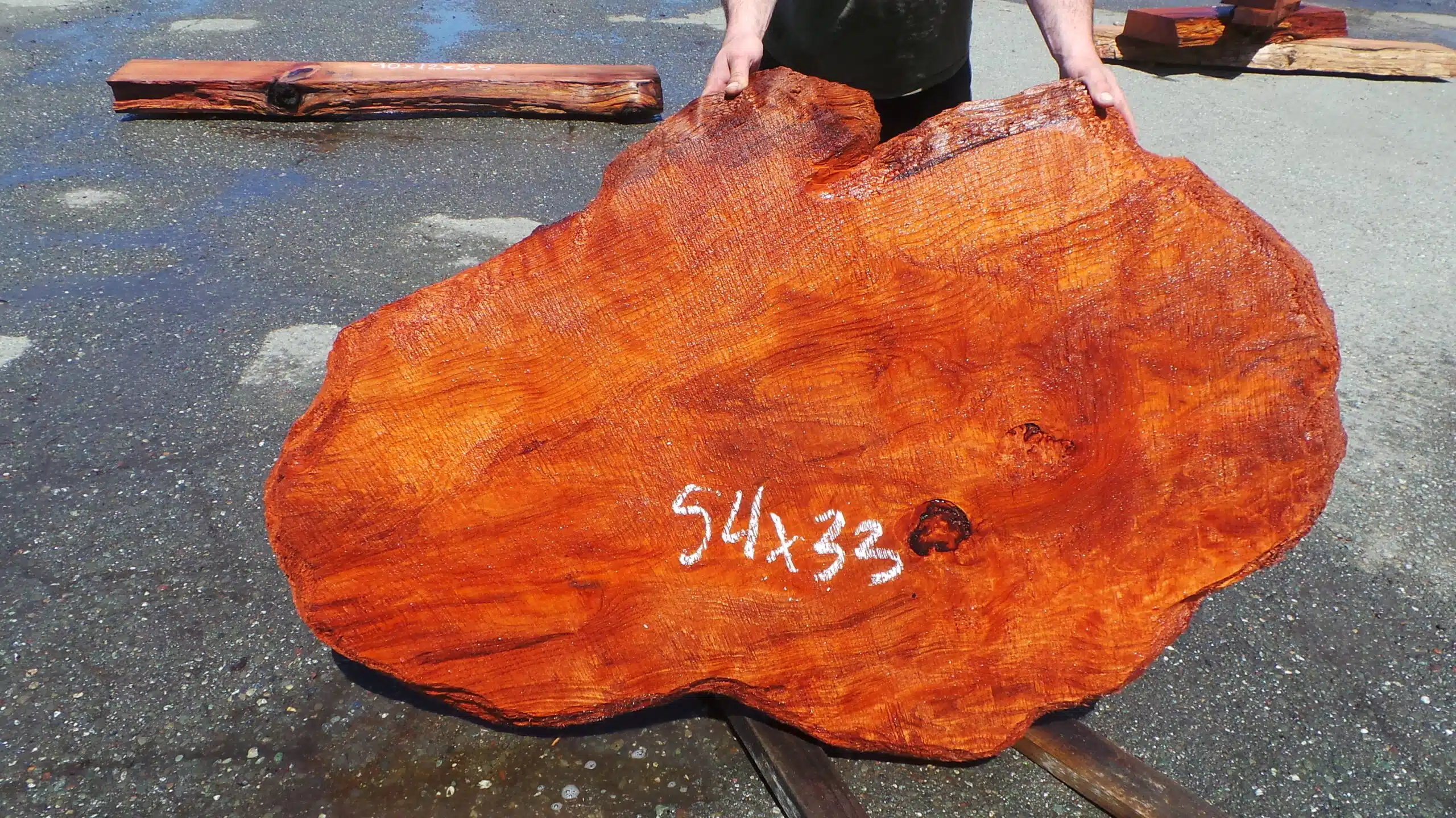 Redwood Burl Slab