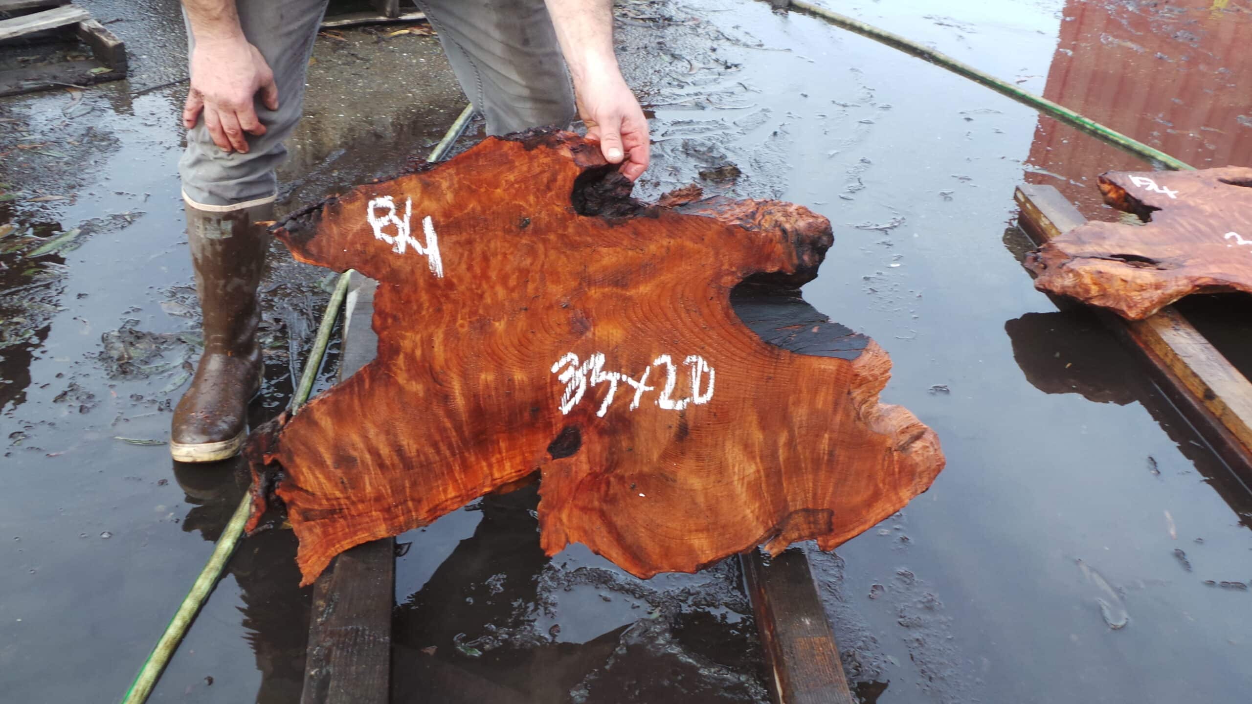 Redwood Burl Live Edge Slab