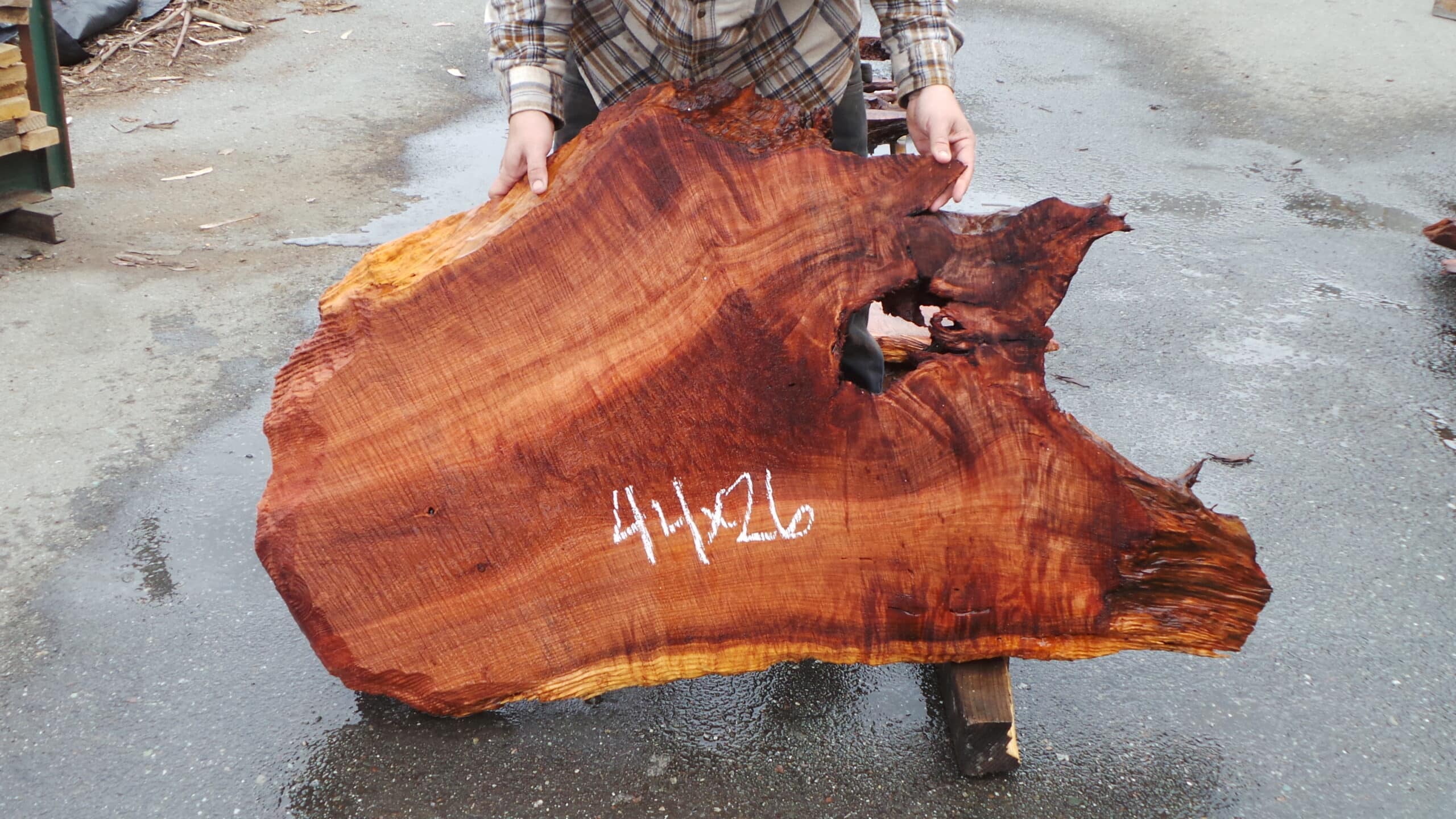 Redwood Burl Live Edge Slab
